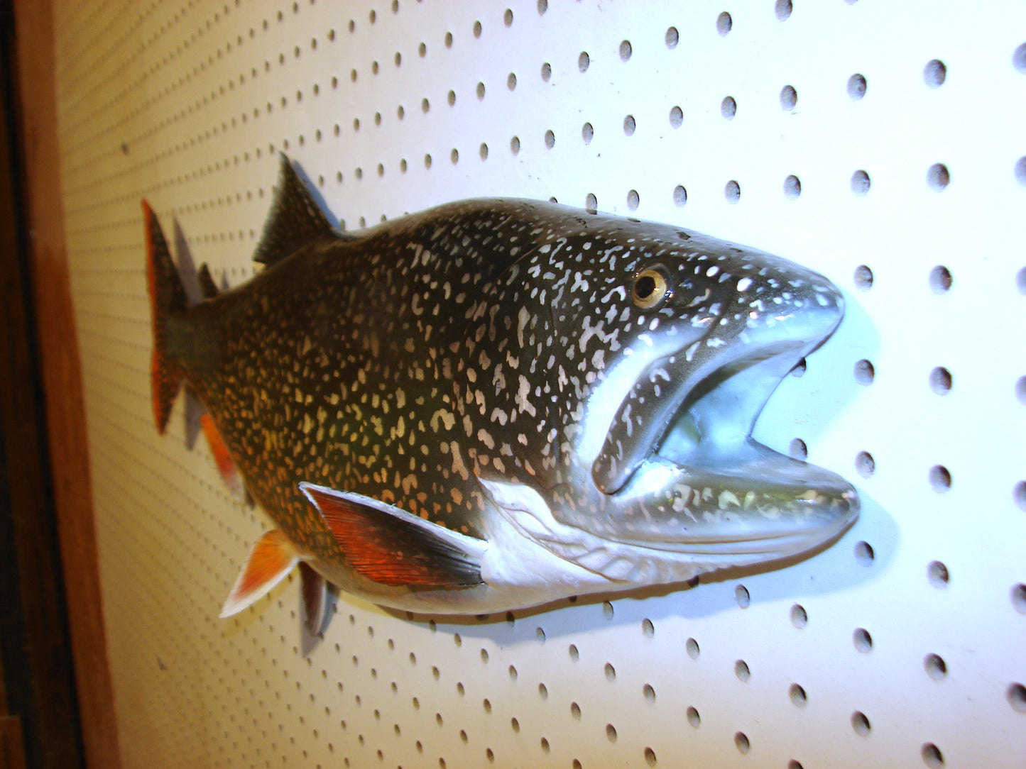 30" Lake Trout FREE SHIPPING