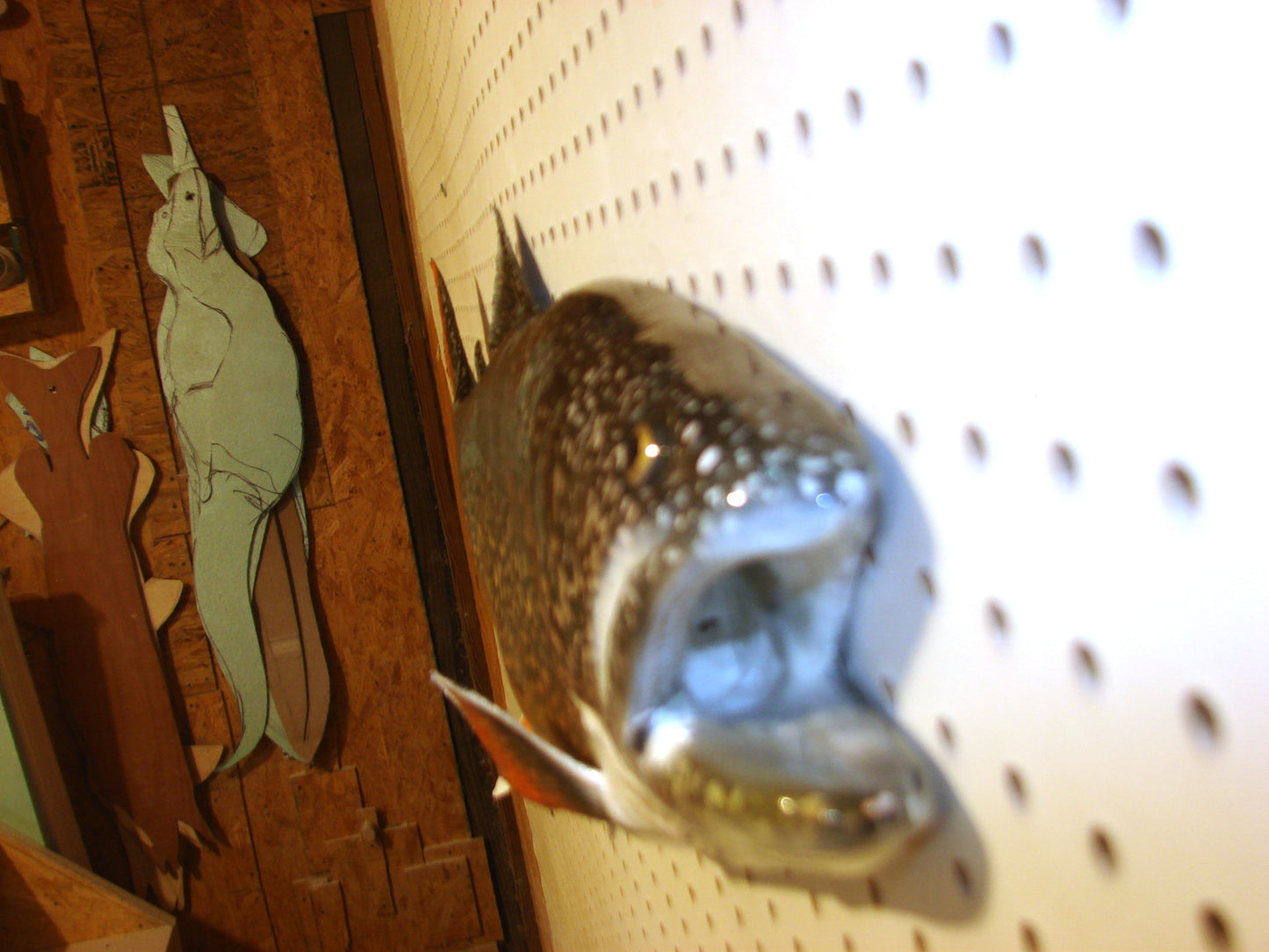 30" Lake Trout FREE SHIPPING