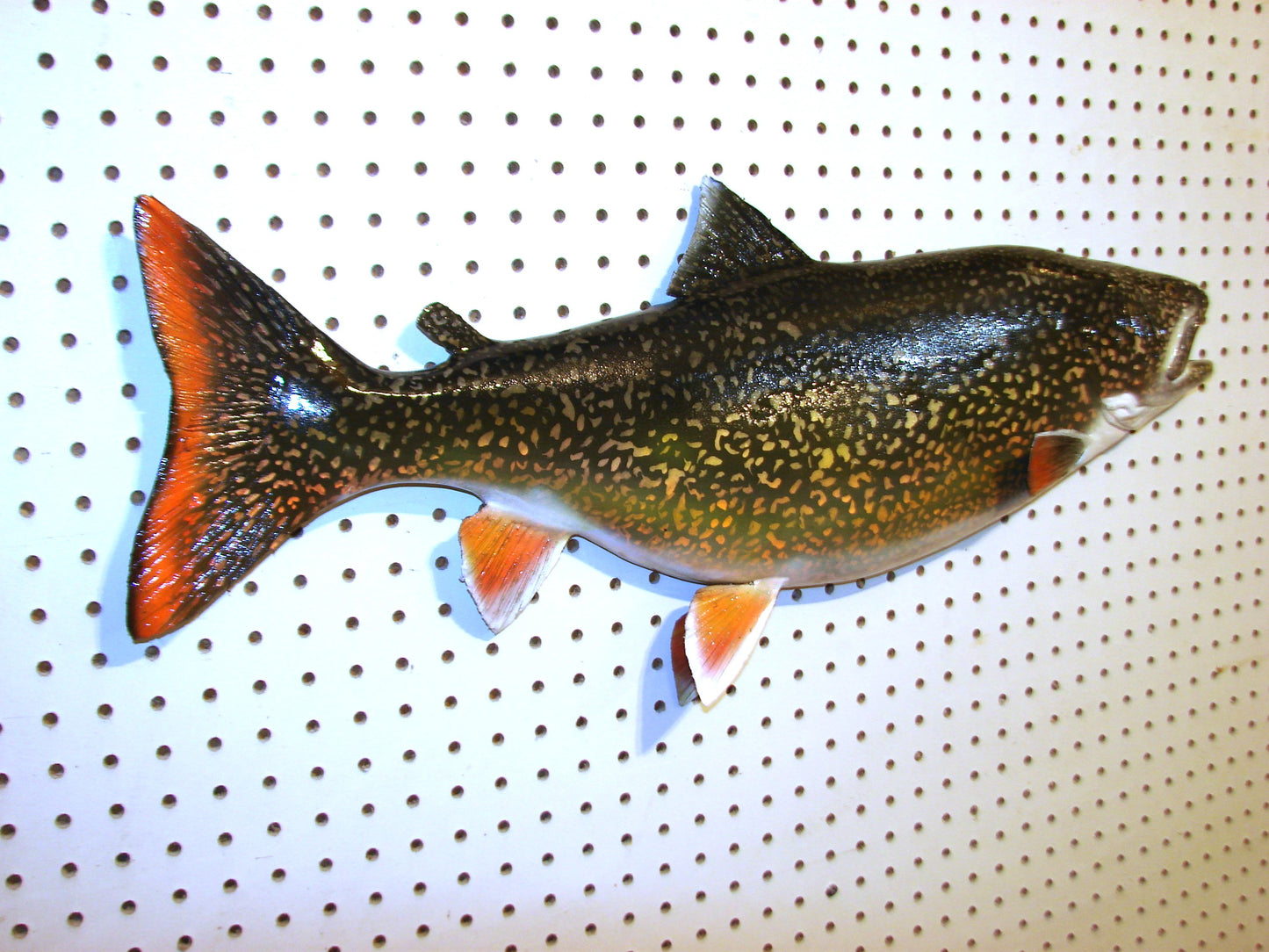 30" Lake Trout FREE SHIPPING