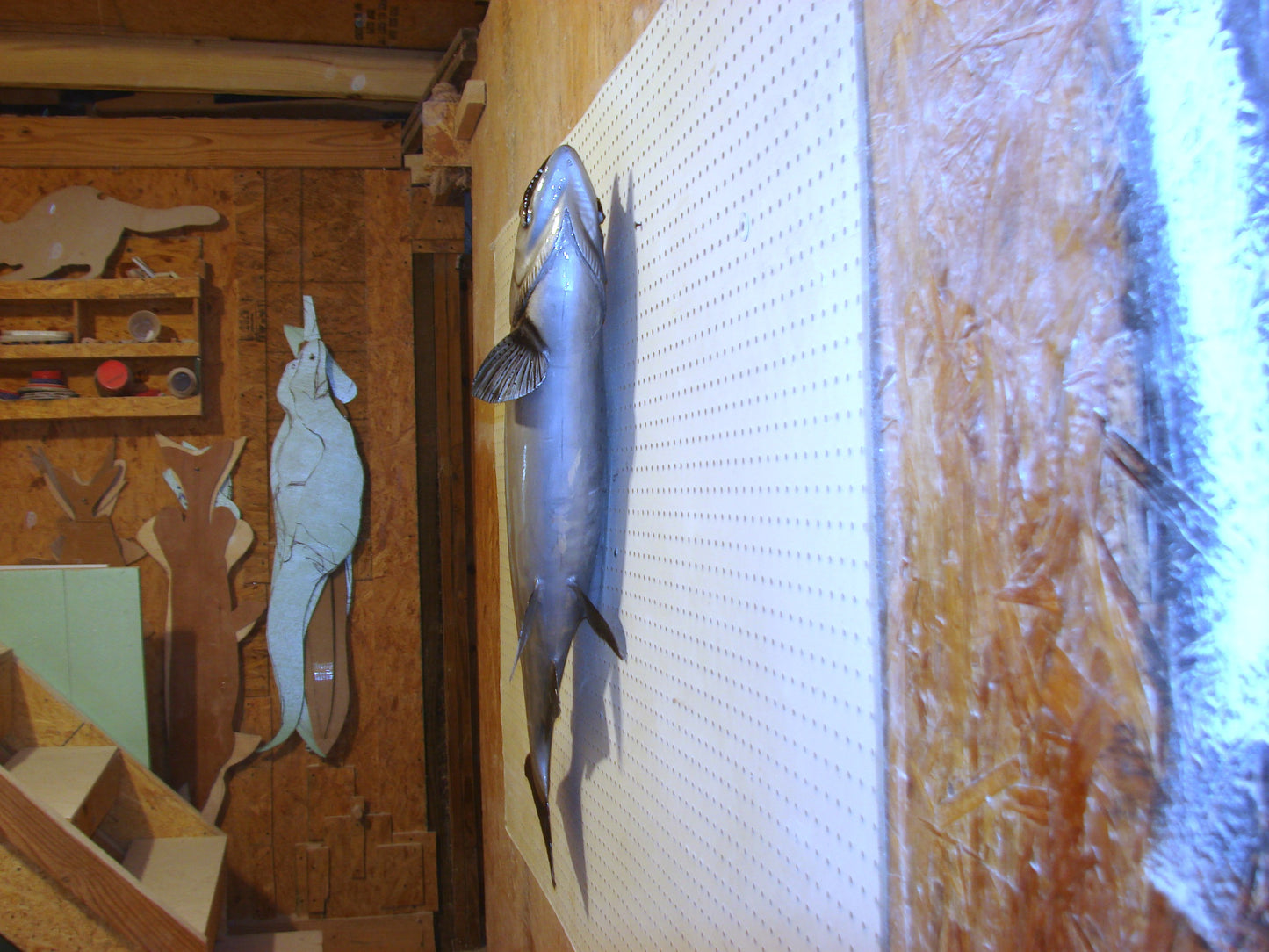 41" Chinook Silver King Salmon full mount FREE SHIPPING