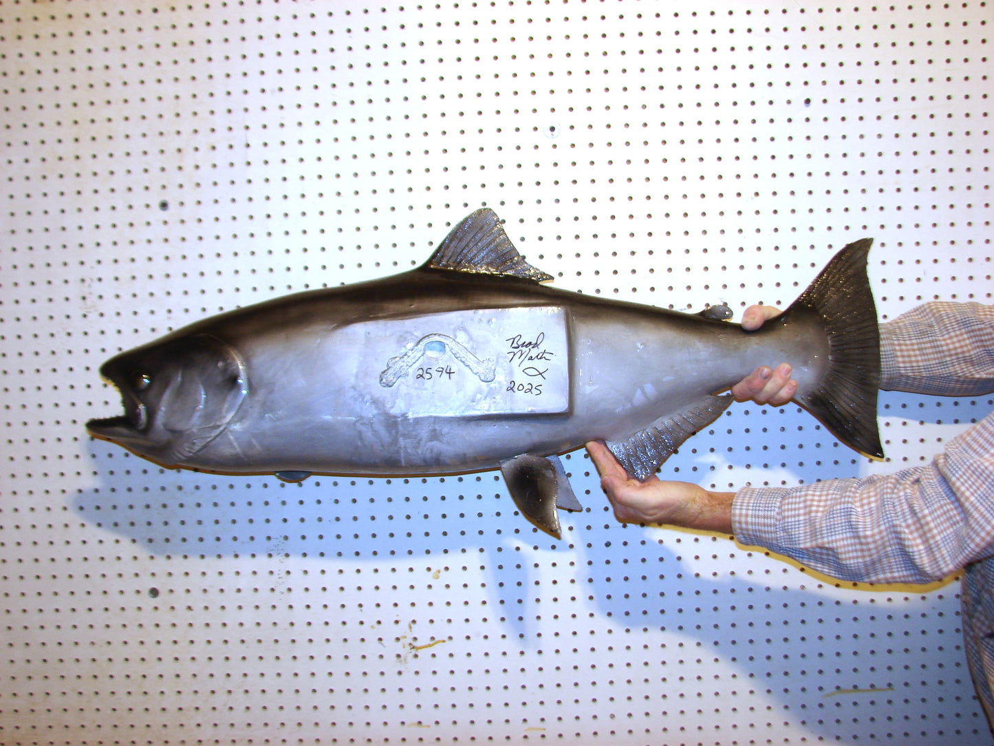 41" Chinook Silver King Salmon full mount FREE SHIPPING