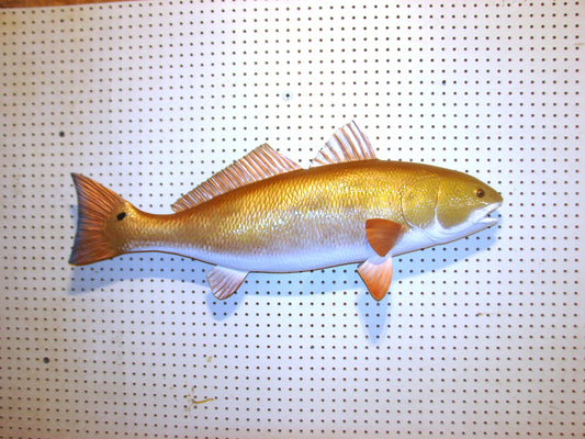 38" Redfish full mount FREE SHIPPING