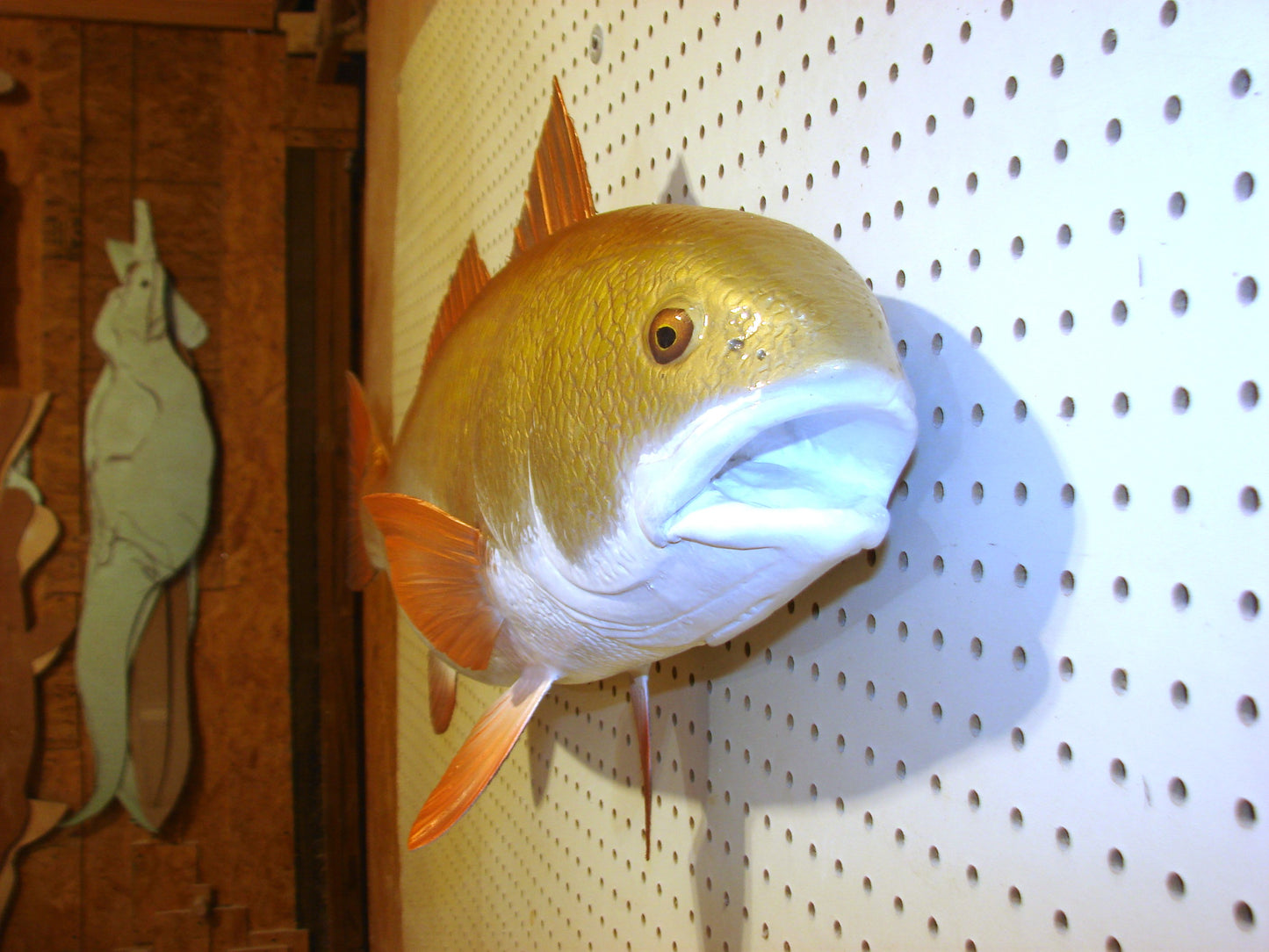 38" Redfish full mount FREE SHIPPING