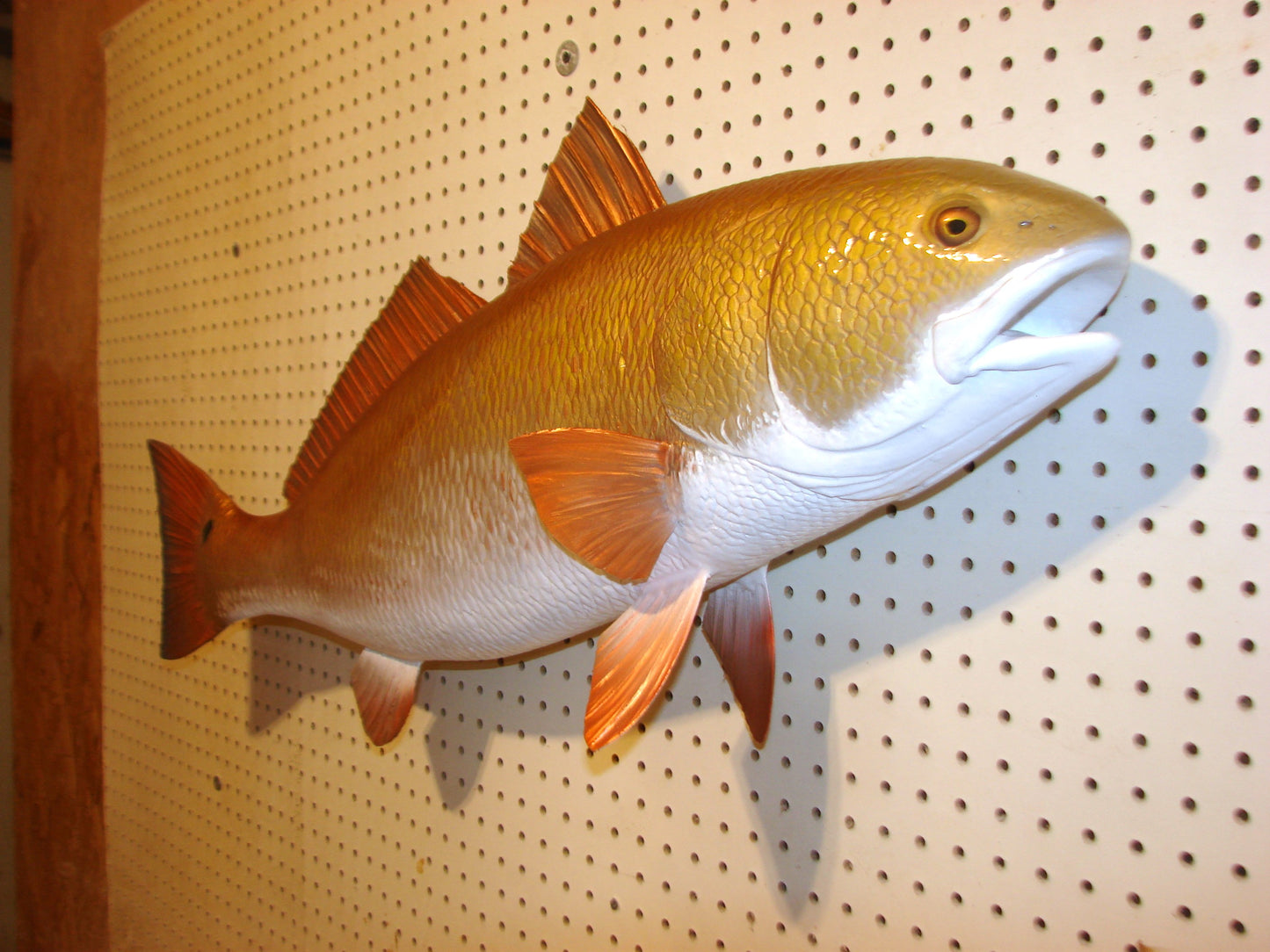 38" Redfish full mount FREE SHIPPING