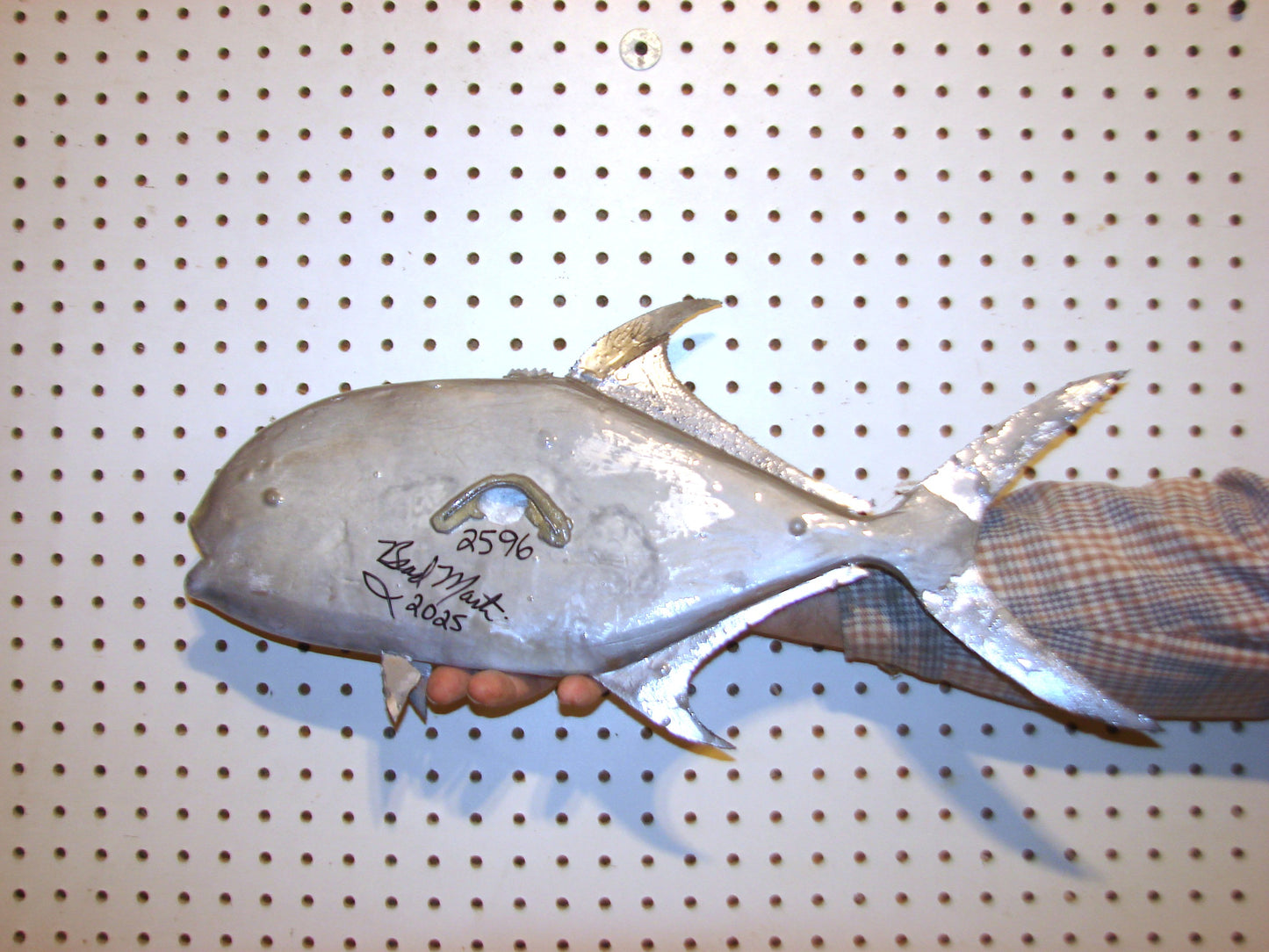 20" Permit FREE SHIPPING