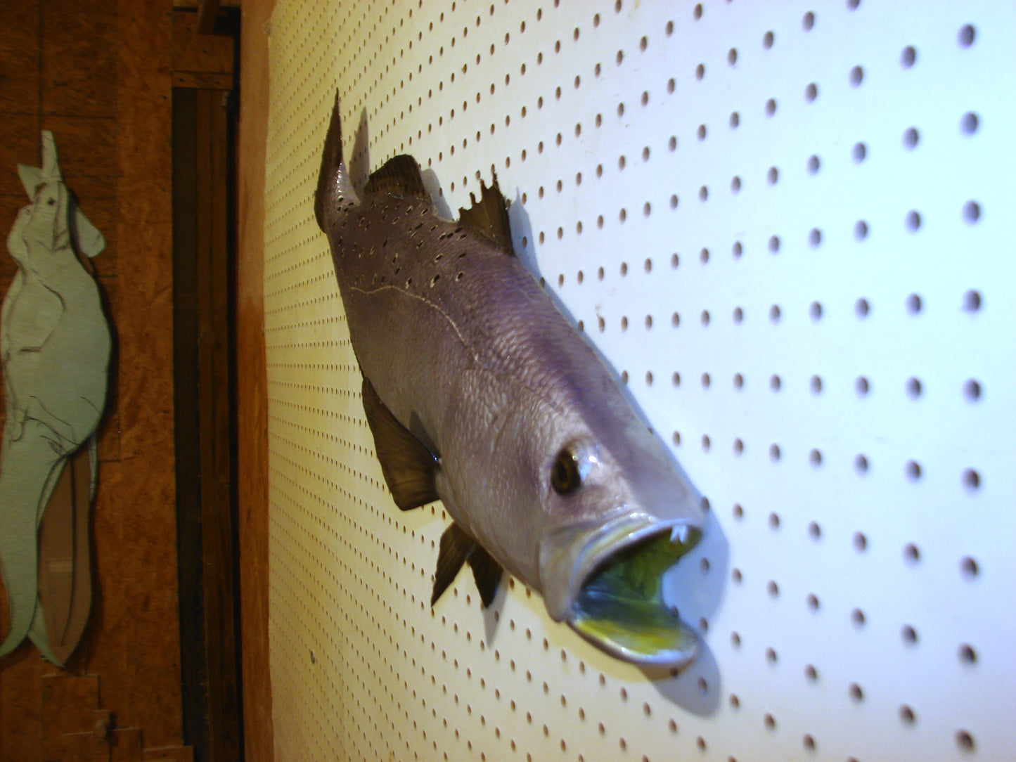 30" Speckled Sea Trout 1/2 mount  FREE SHIPPING