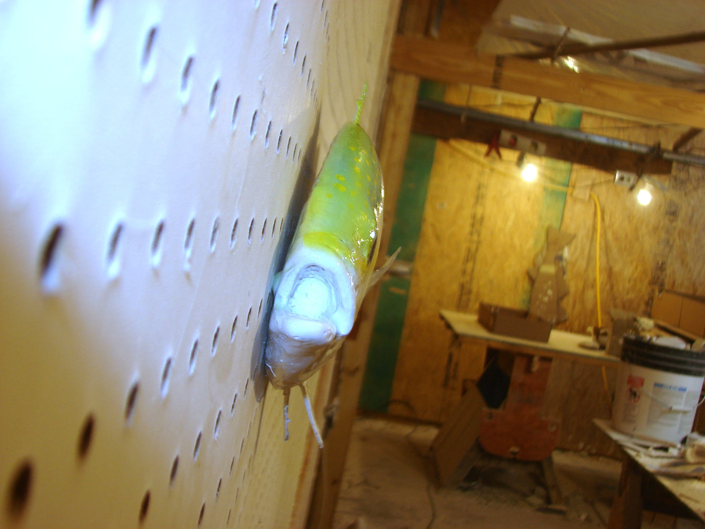 21" Yellowtail Snapper Fish Mount FREE SHIPPING