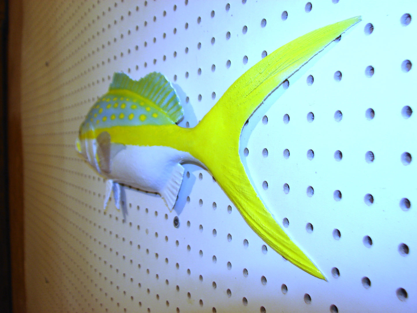 21" Yellowtail Snapper Fish Mount FREE SHIPPING