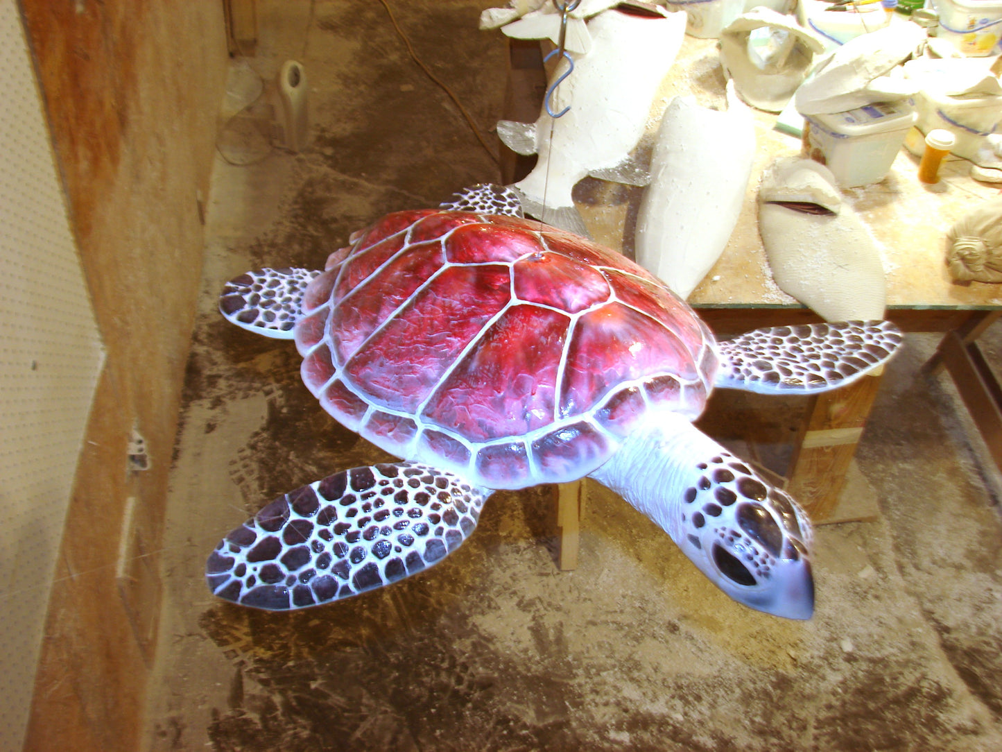 Hawksbill Sea Turtle Full Mount FREE SHIPPING