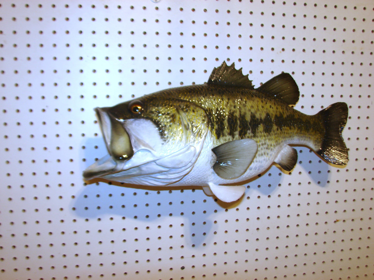 23" Largemouth Bass FREE SHIPPING