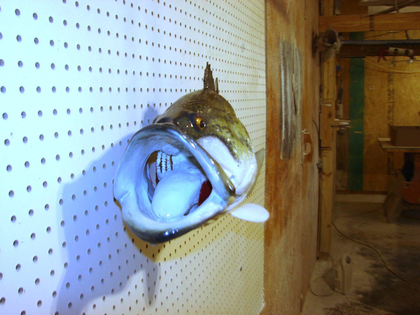 23" Largemouth Bass FREE SHIPPING