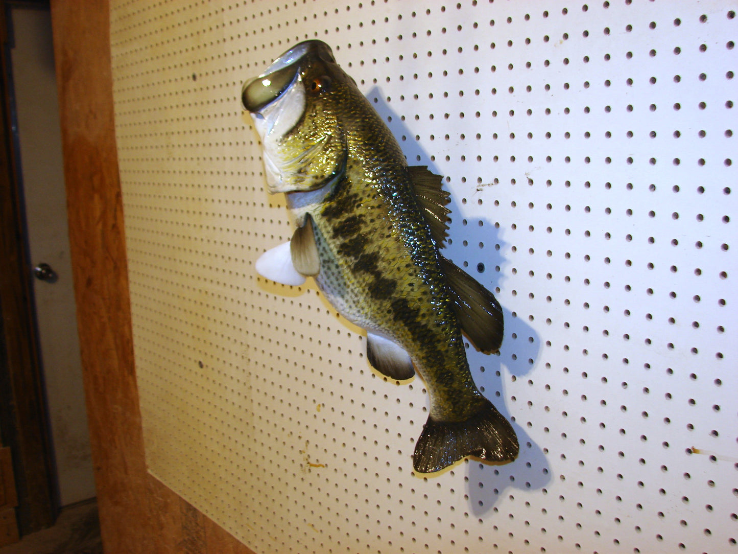 23" Largemouth Bass FREE SHIPPING
