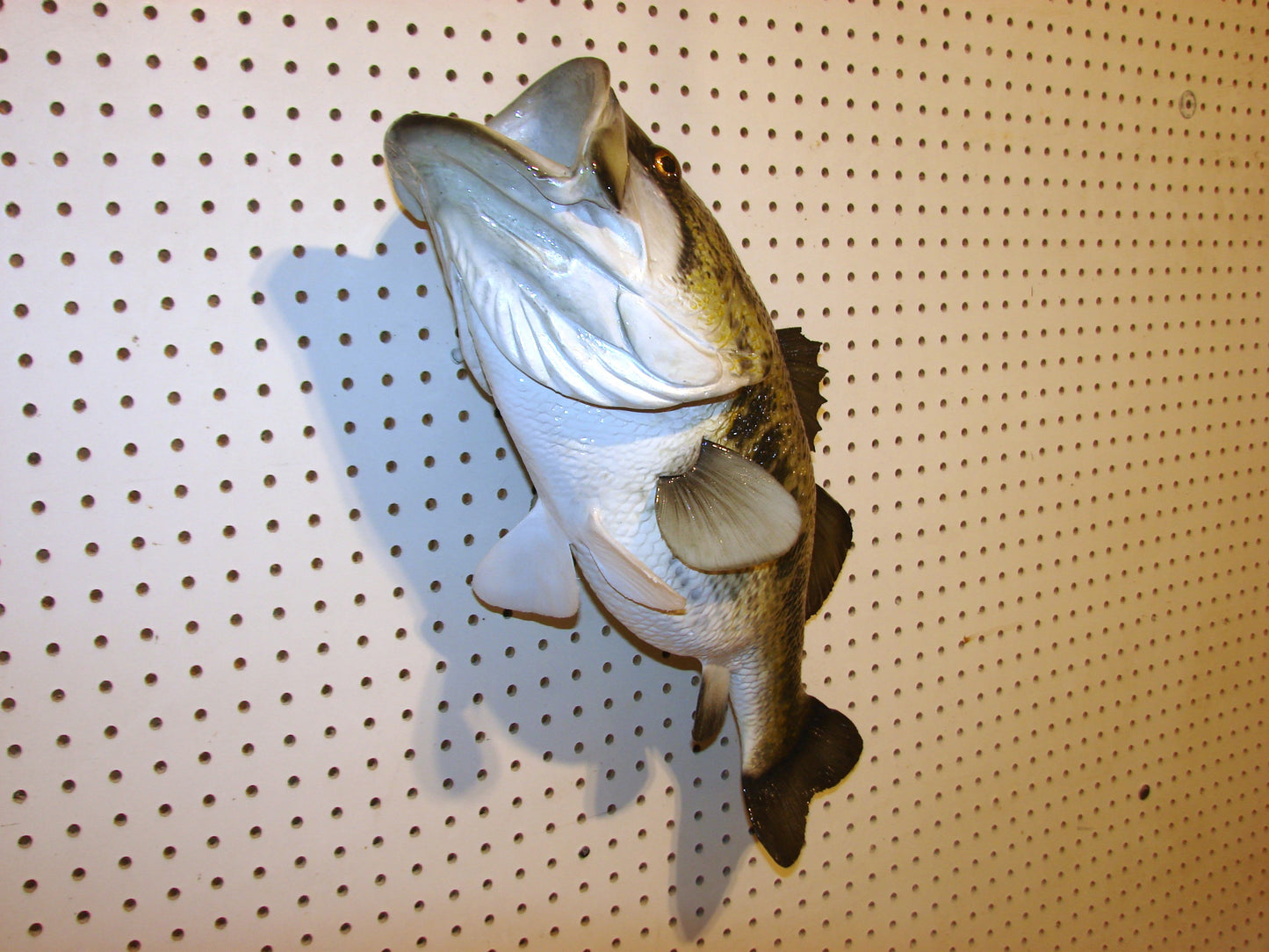 23" Largemouth Bass FREE SHIPPING