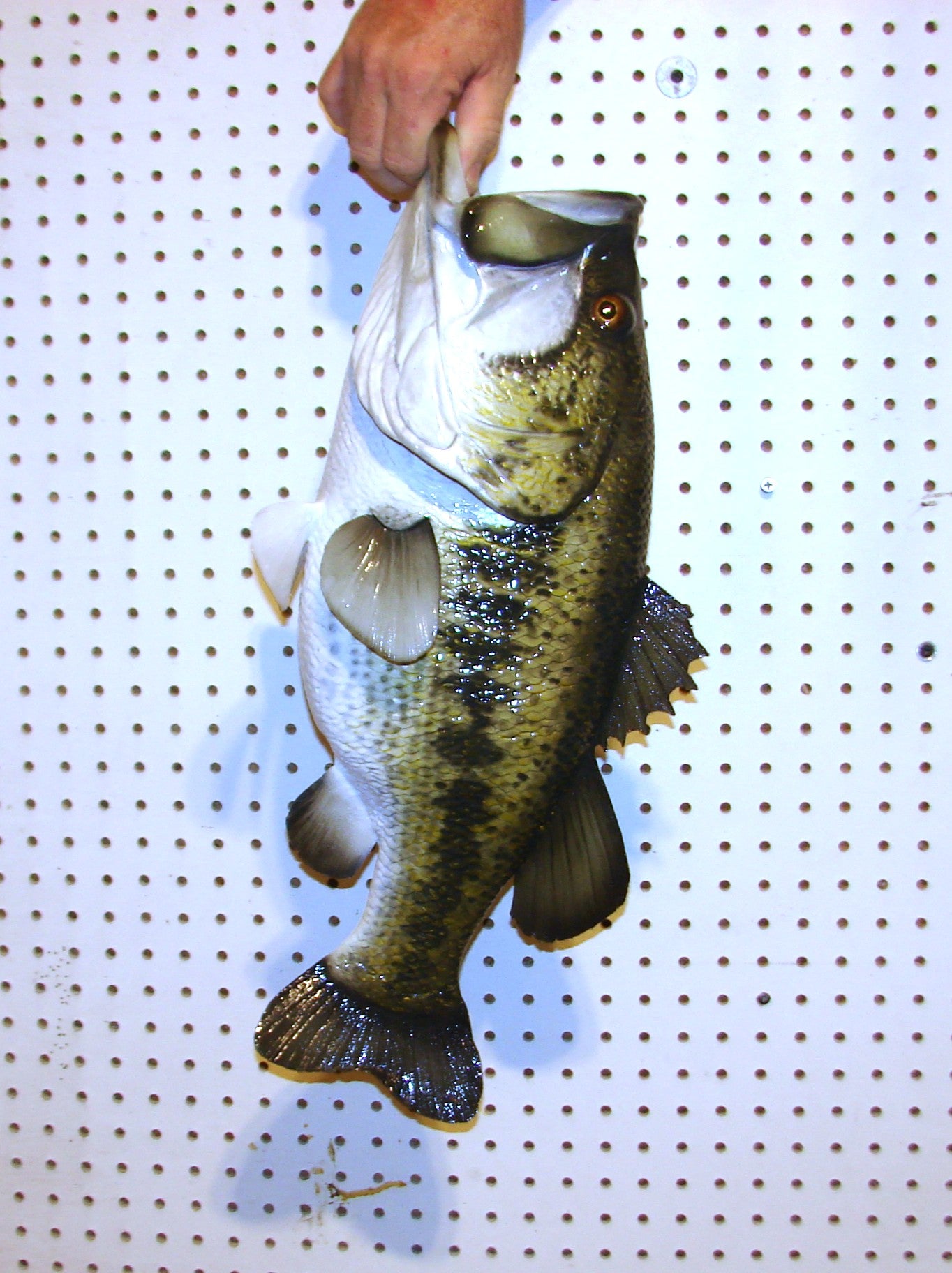 23" Largemouth Bass FREE SHIPPING