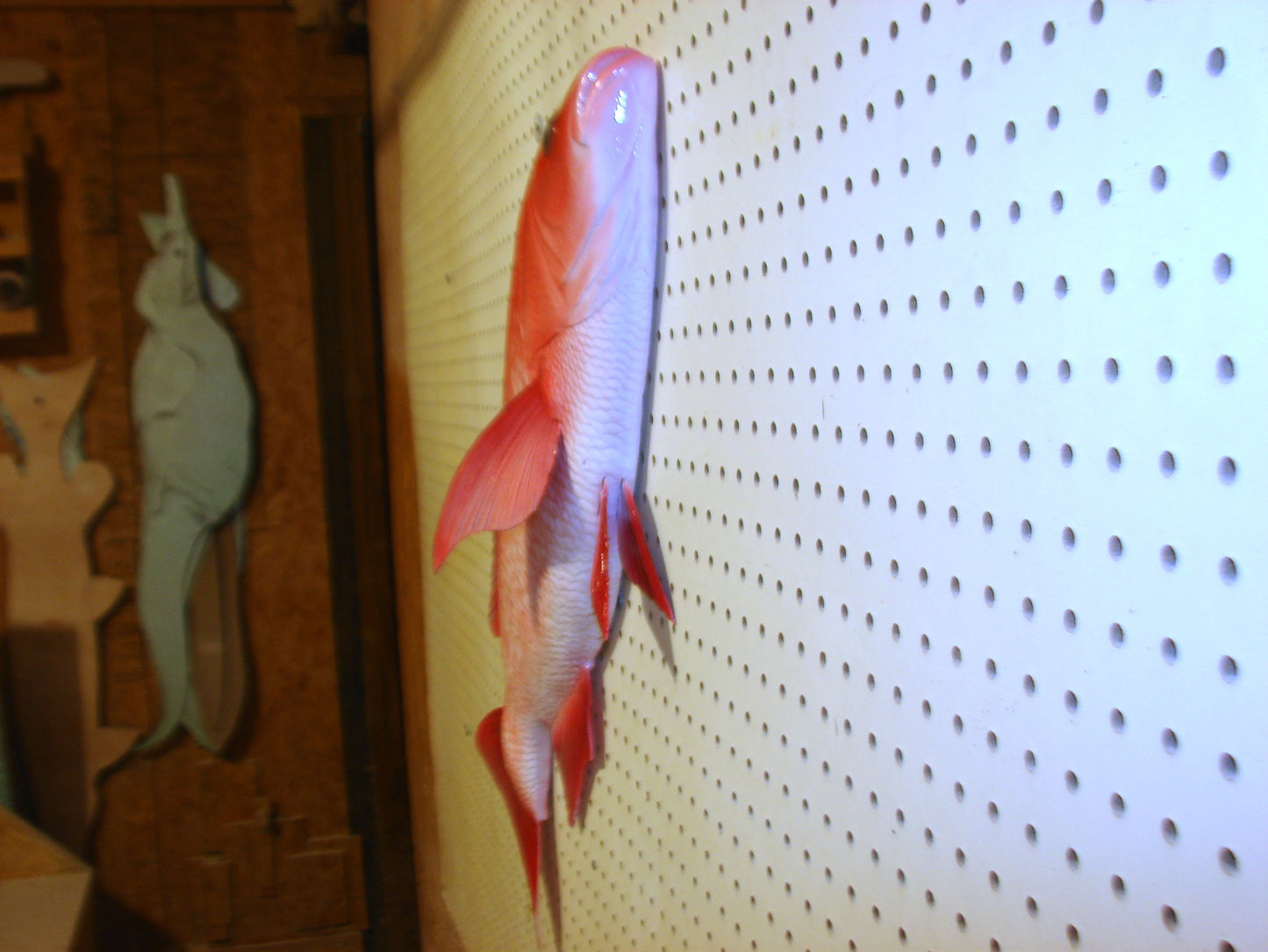 31" Red Snapper FREE SHIPPING