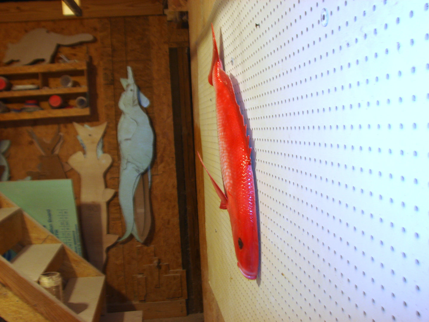 31" Red Snapper FREE SHIPPING