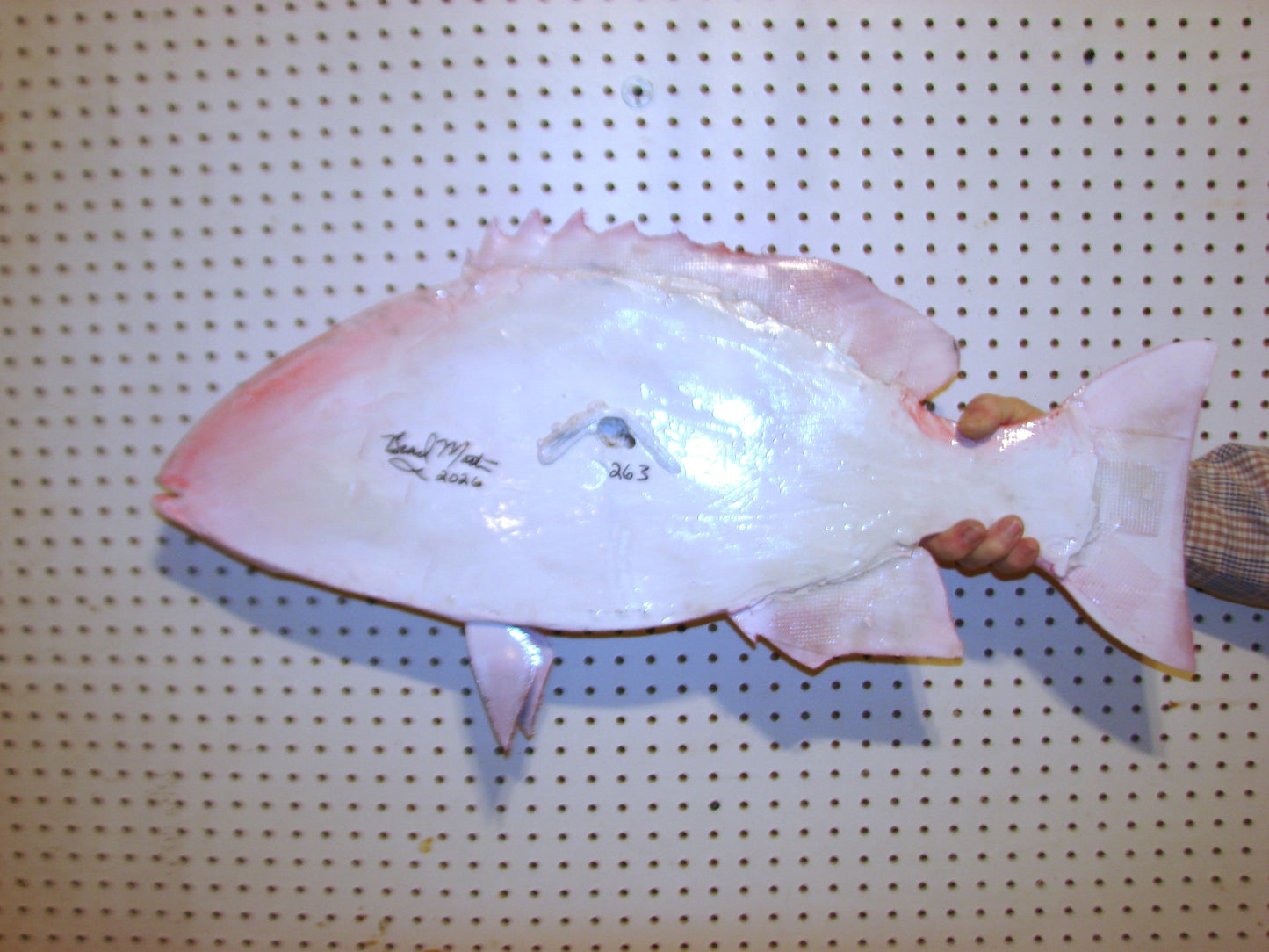 31" Red Snapper FREE SHIPPING