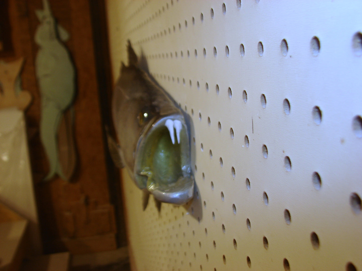 32" Speckled Sea Trout 1/2 mount  FREE SHIPPING