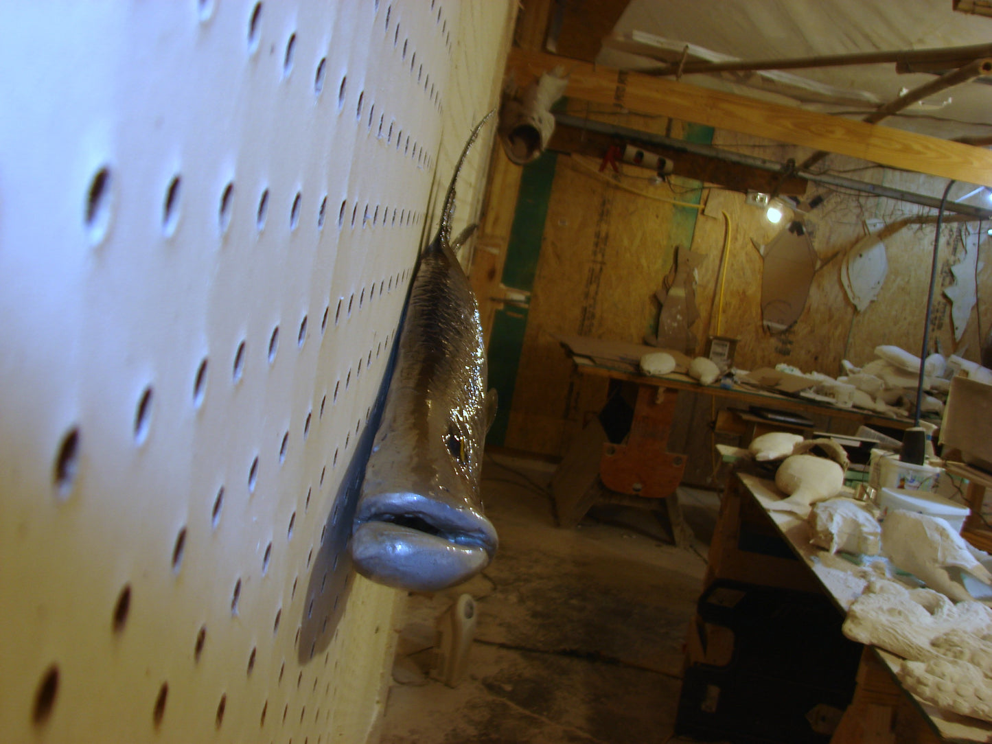 30" Snook Fish Mount FREE SHIPPING