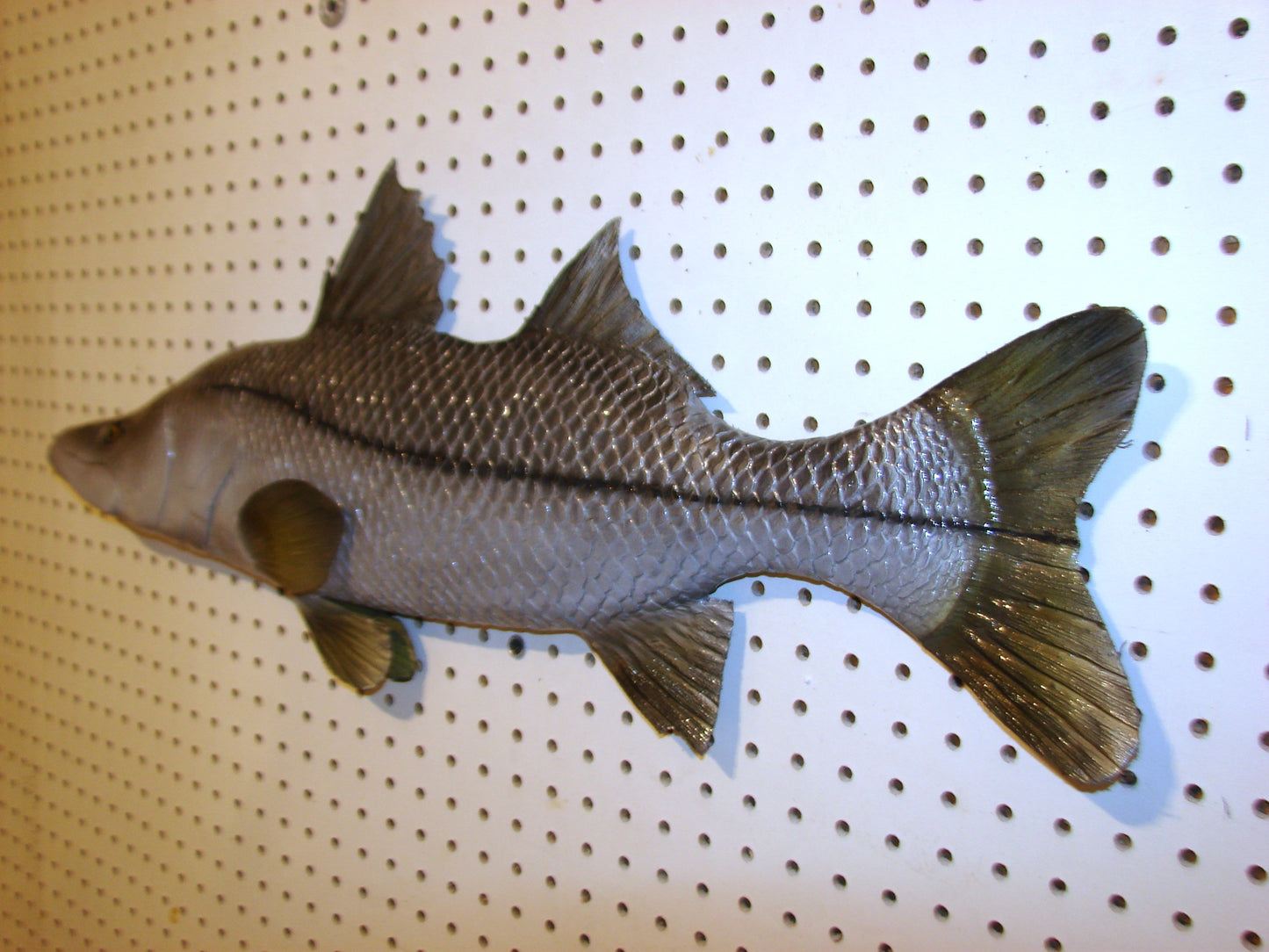30" Snook Fish Mount FREE SHIPPING