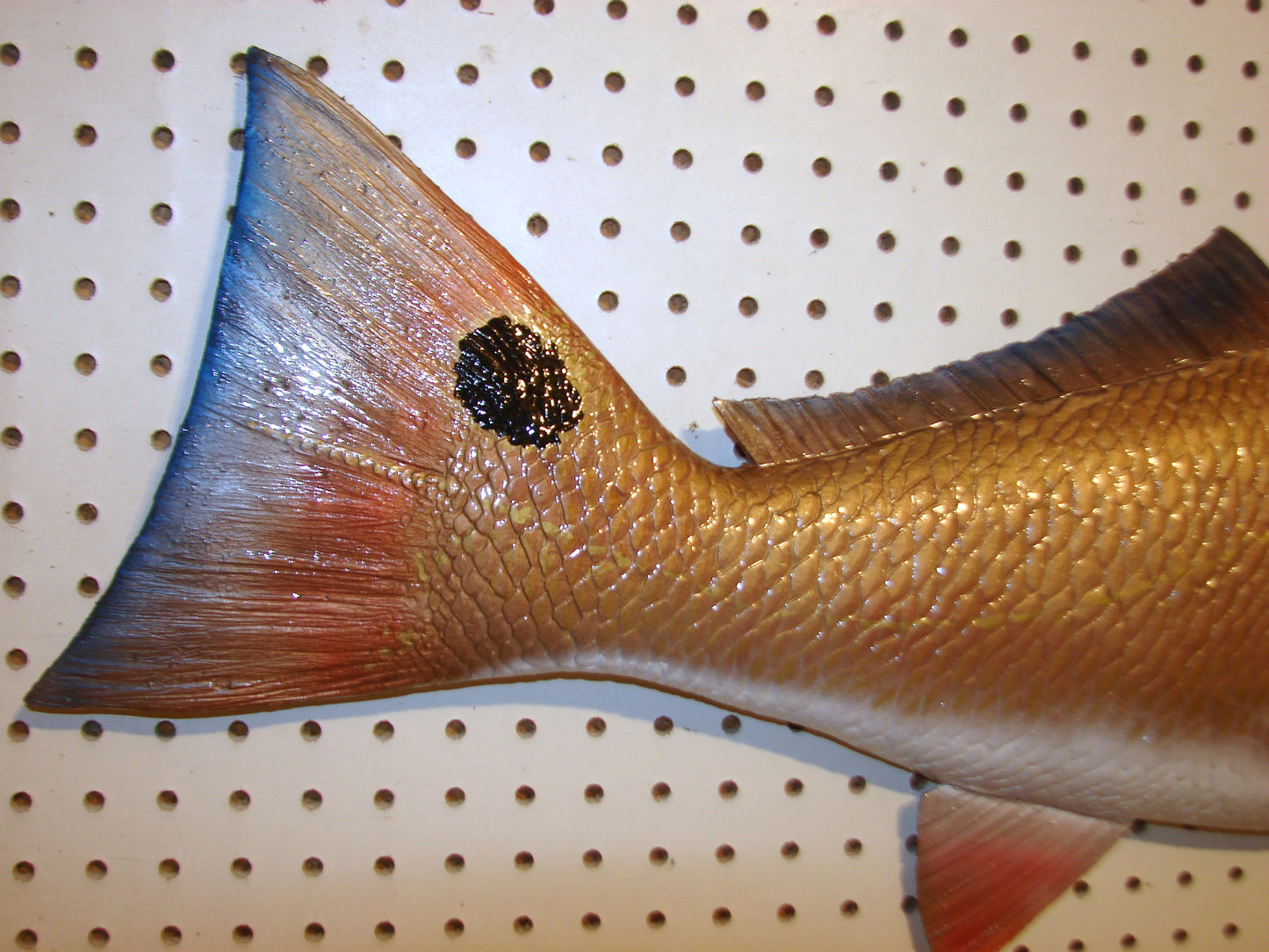 36" Redfish FREE SHIPPING