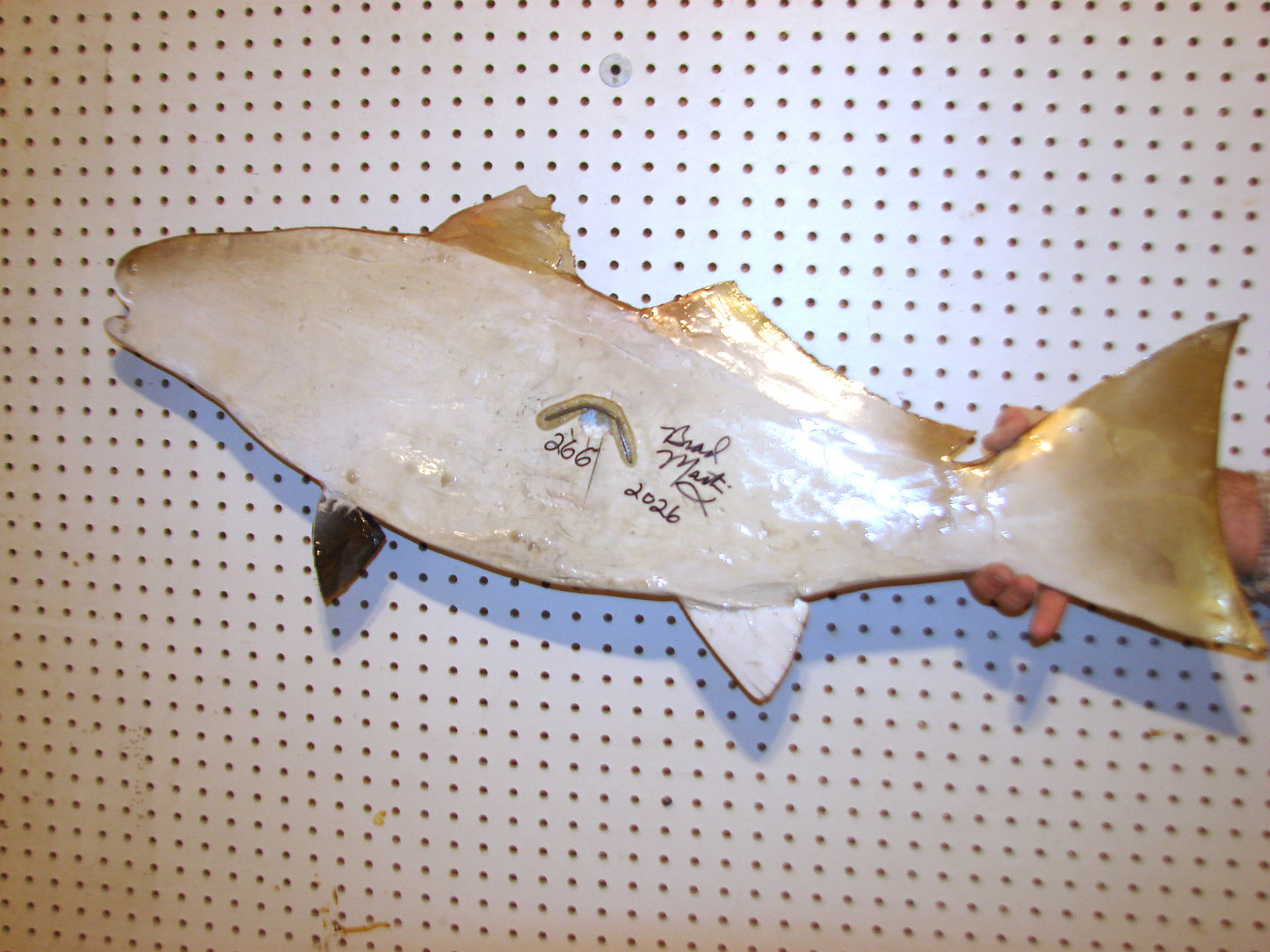 36" Redfish FREE SHIPPING