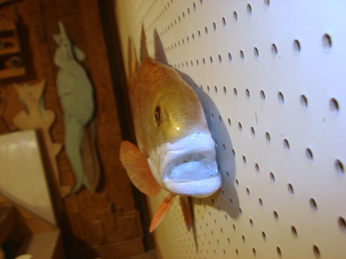 36" Redfish FREE SHIPPING
