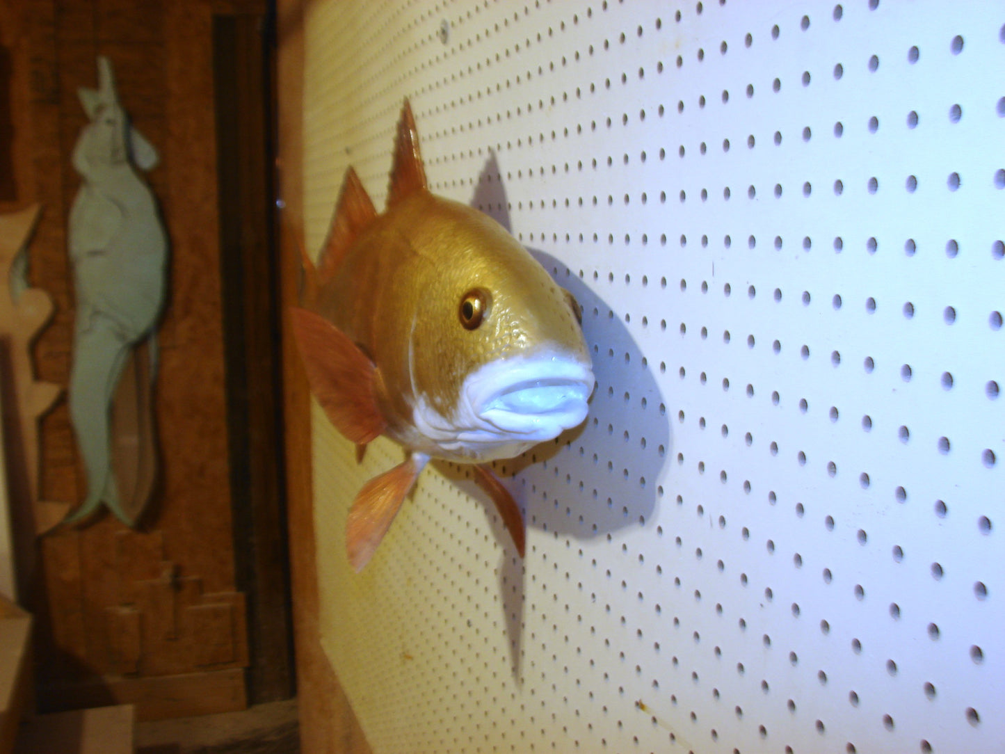 37" Redfish full mount FREE SHIPPING