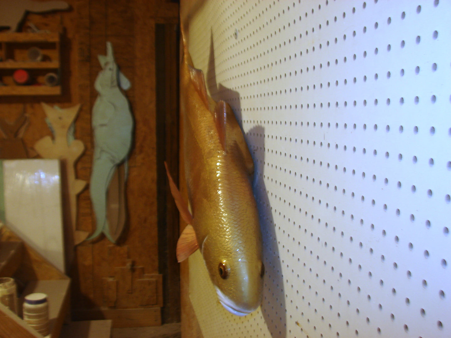 37" Redfish full mount FREE SHIPPING