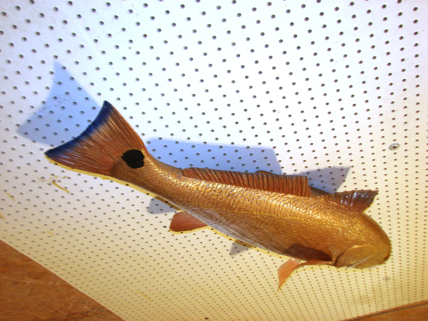 37" Redfish full mount FREE SHIPPING