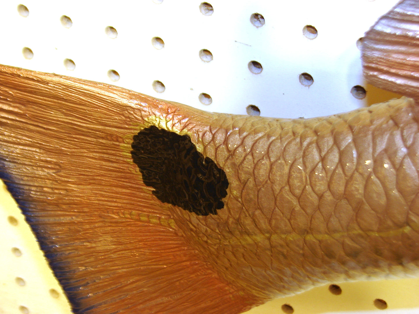 37" Redfish full mount FREE SHIPPING