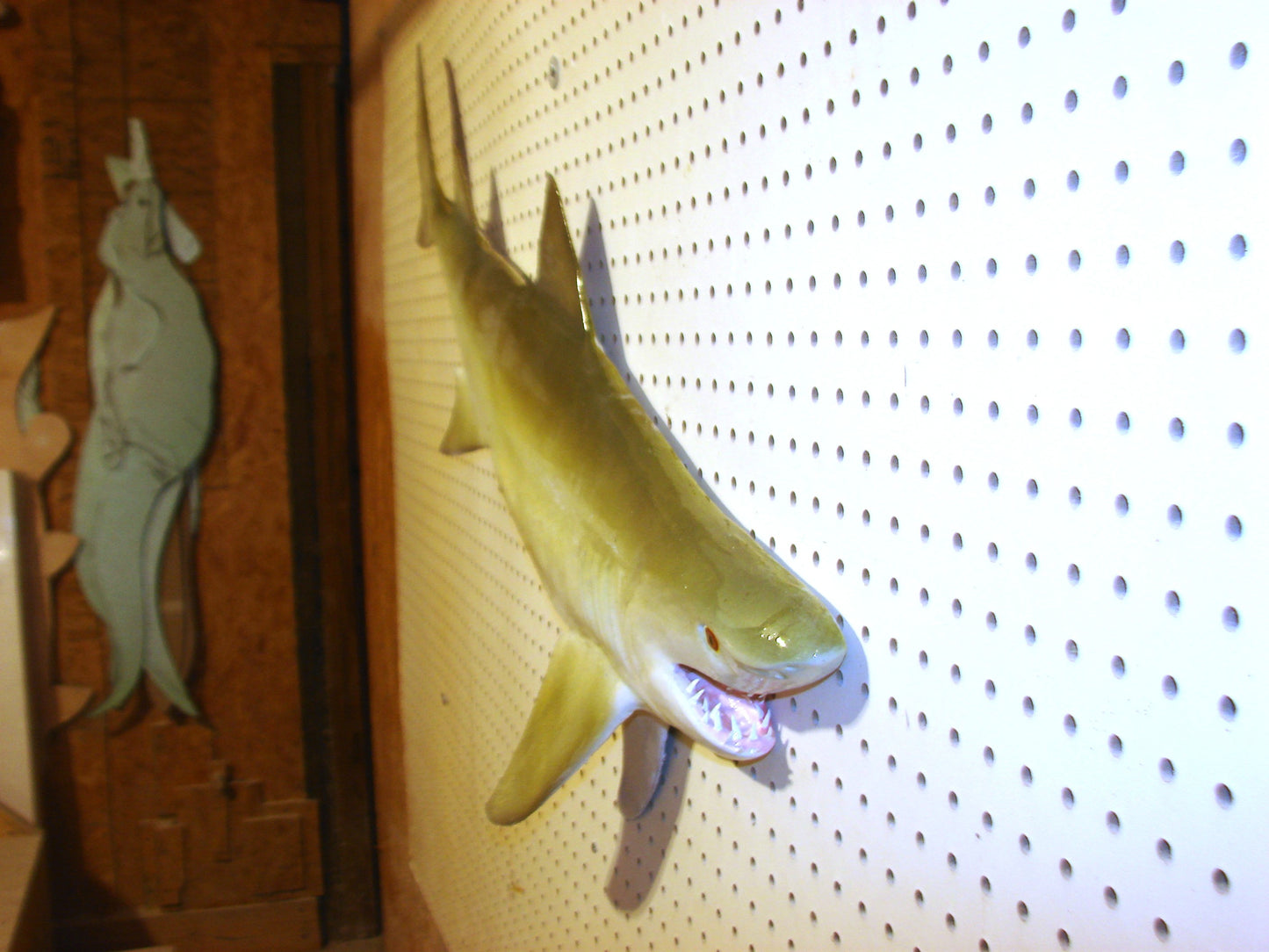 Lemon Shark Fish Mount FREE SHIPPING