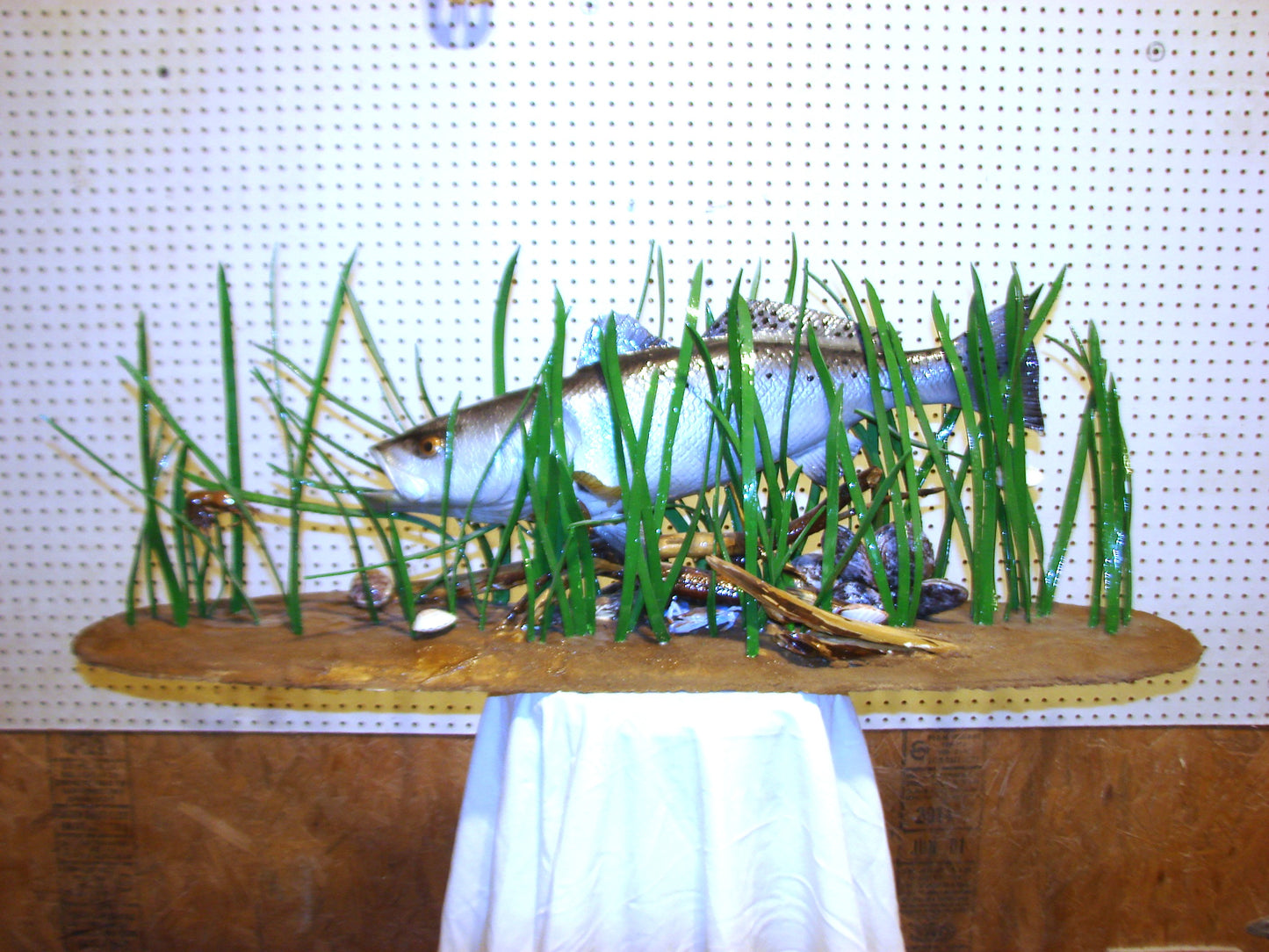 Speckled Sea Trout Fully 3D Scene  FREE SHIPPING