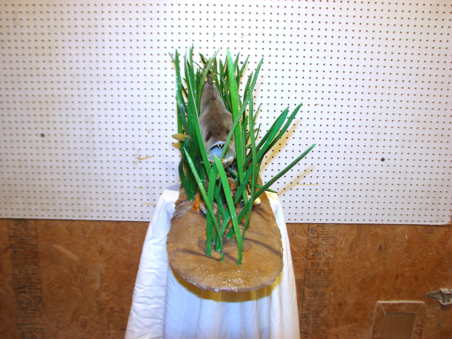 Speckled Sea Trout Fully 3D Scene  FREE SHIPPING