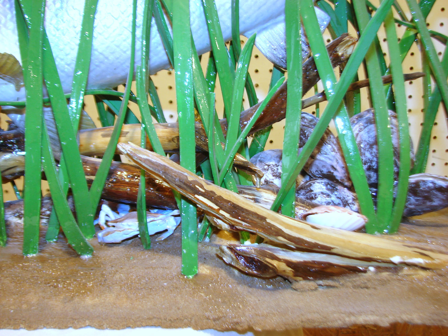 Speckled Sea Trout Fully 3D Scene  FREE SHIPPING