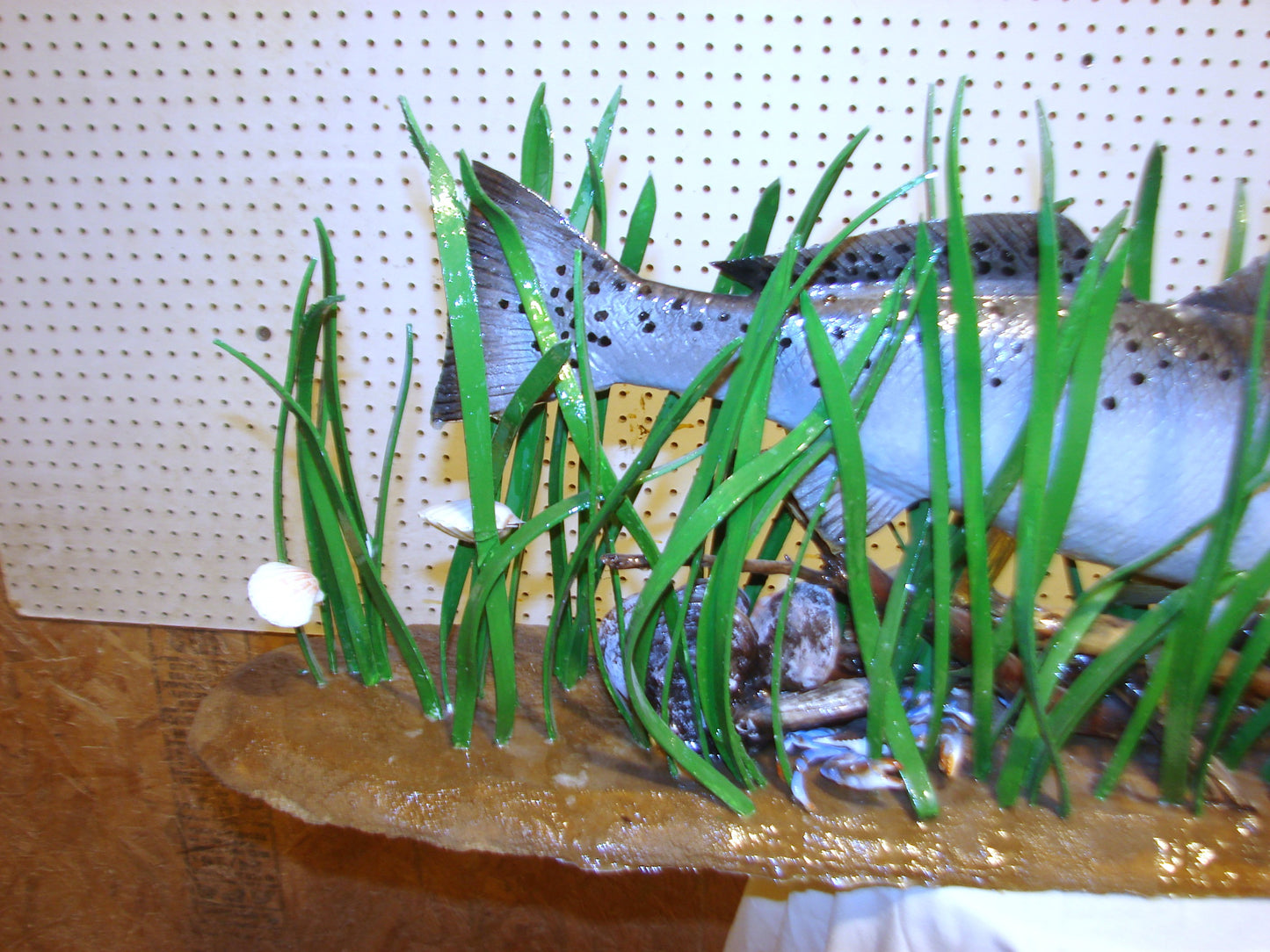 Speckled Sea Trout Fully 3D Scene  FREE SHIPPING