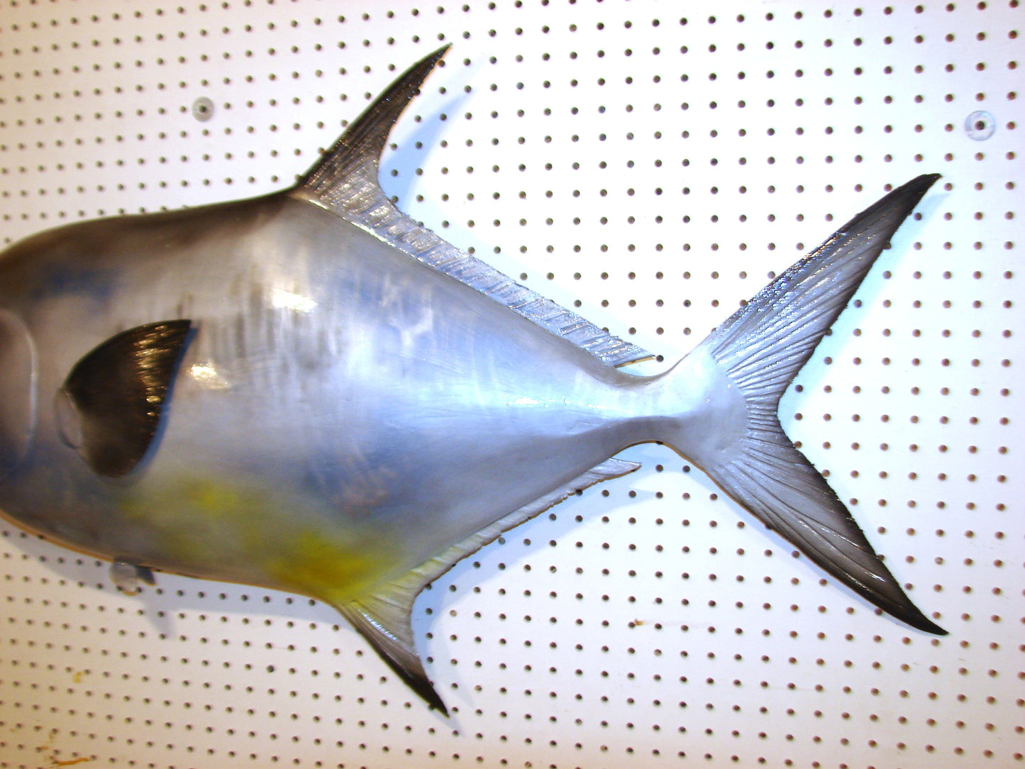 42" Permit FREE SHIPPING