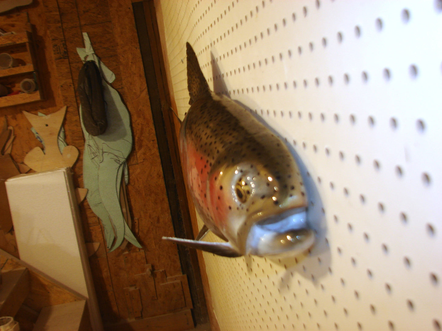 30" Rainbow Trout FREE SHIPPING