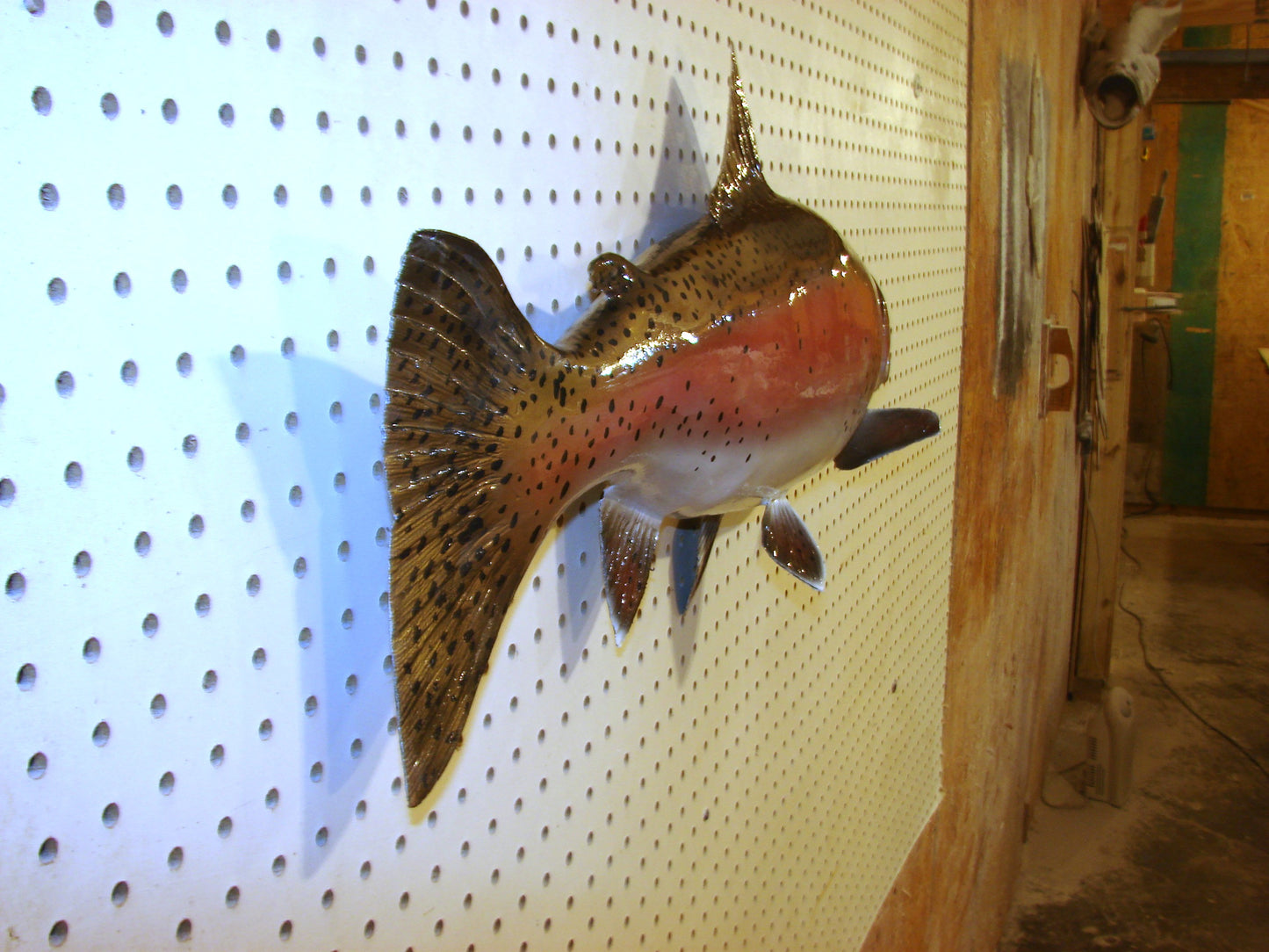 30" Rainbow Trout FREE SHIPPING