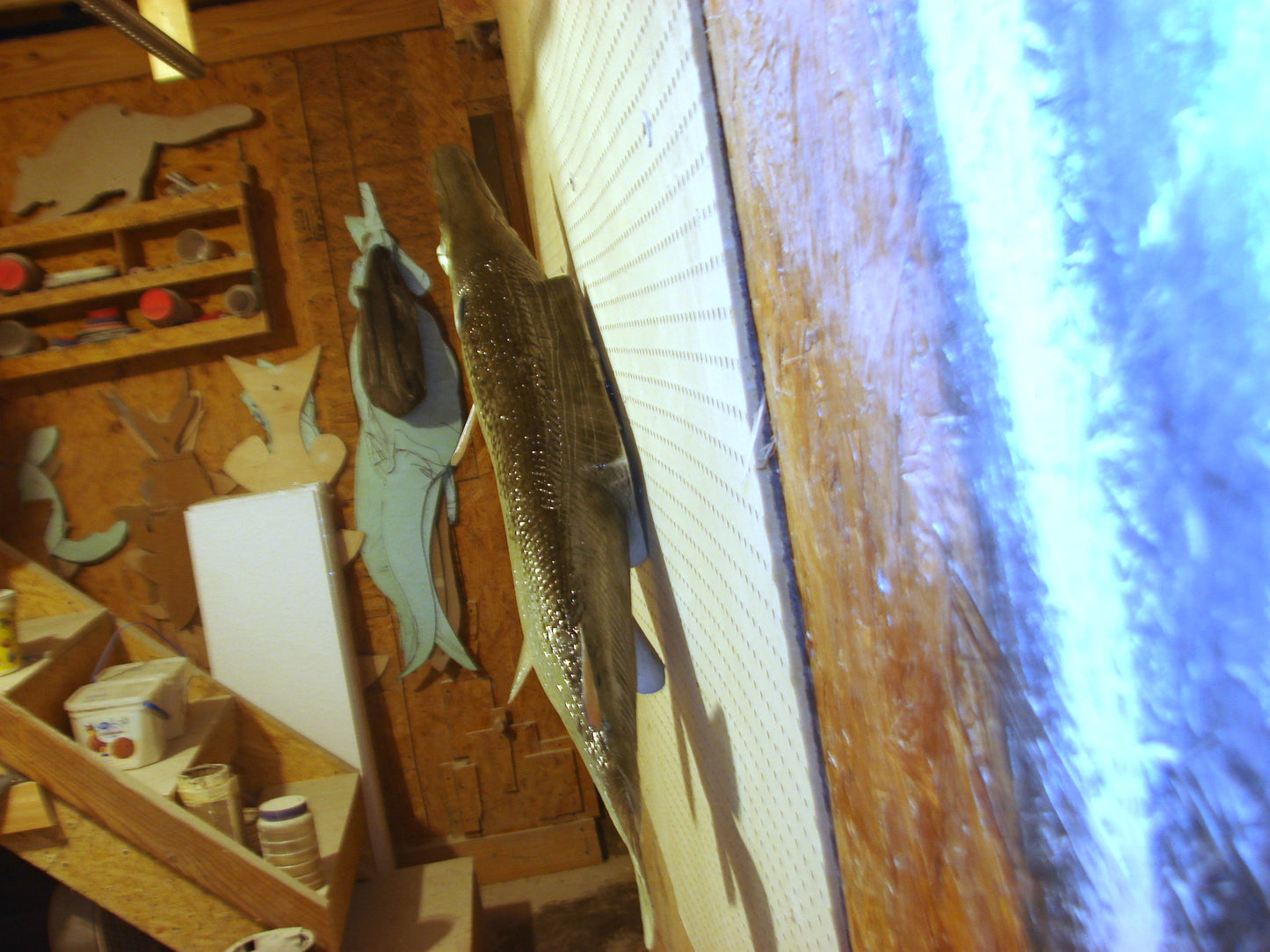 51" Alligator Gar FREE SHIPPING