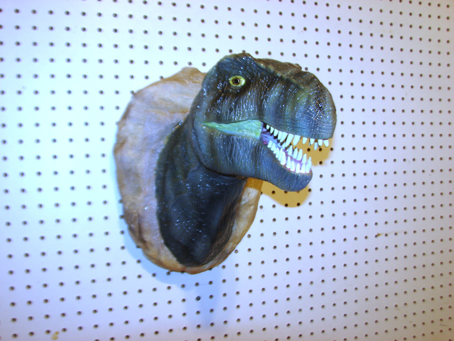 Tyrannosaurus Rex 3d Head Mount FREE SHIPPING