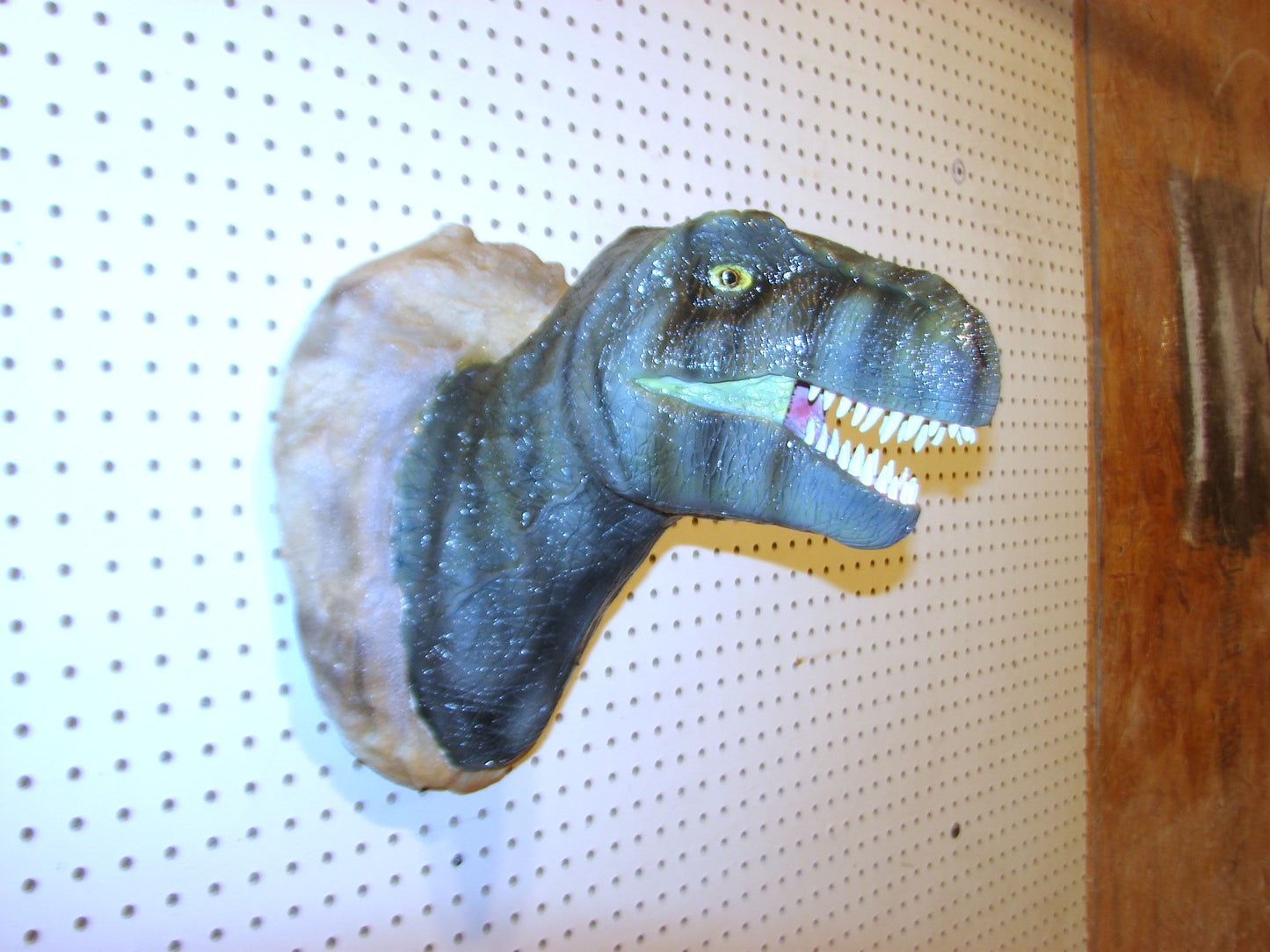 Tyrannosaurus Rex 3d Head Mount FREE SHIPPING