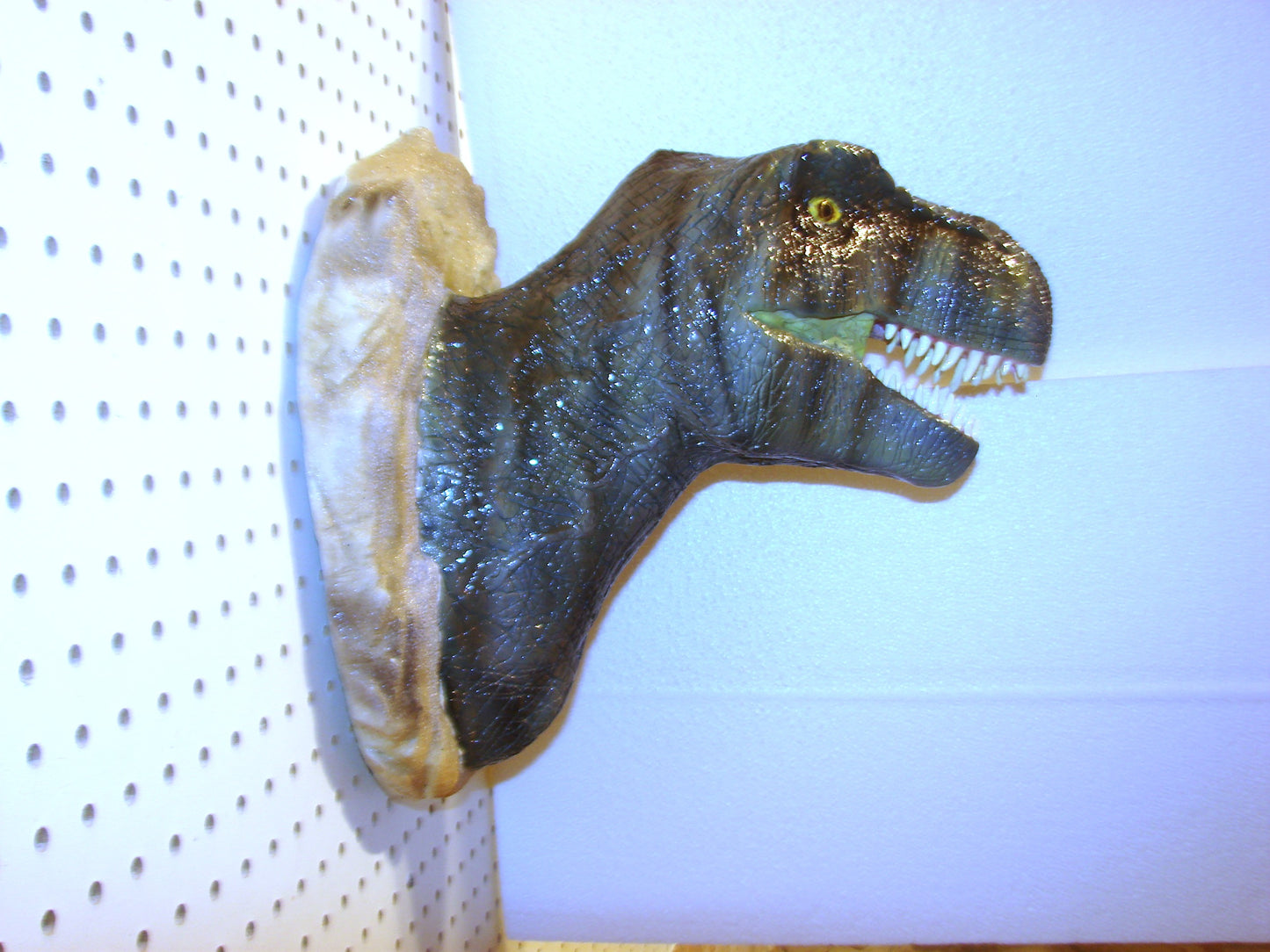 Tyrannosaurus Rex 3d Head Mount FREE SHIPPING
