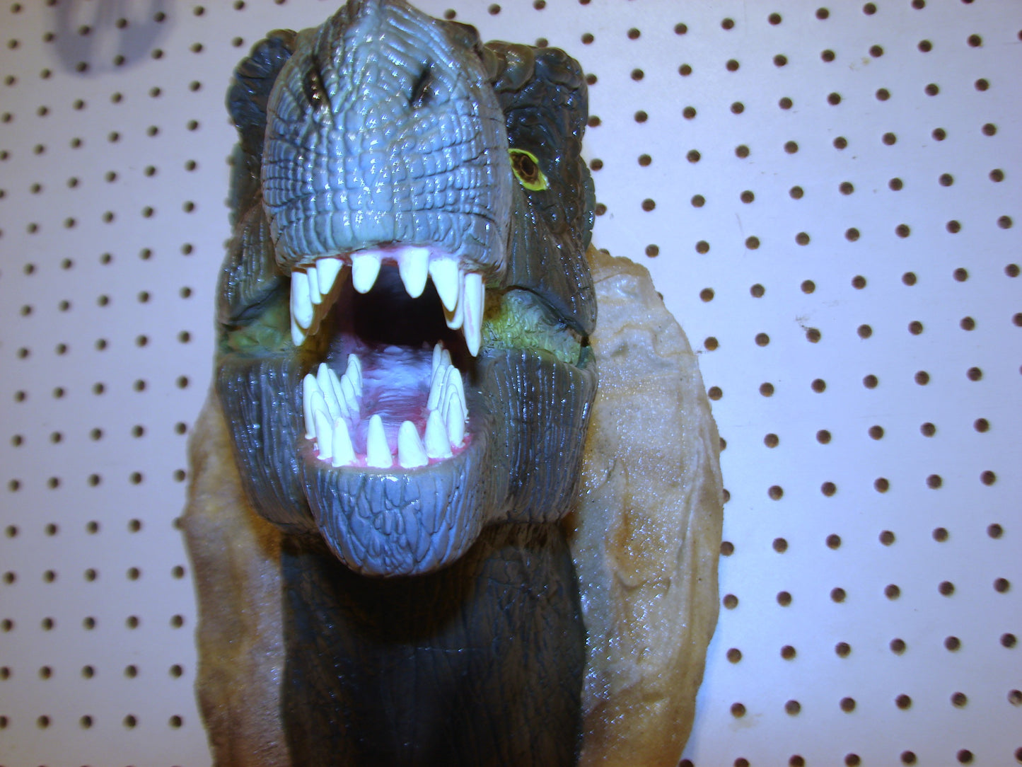 Tyrannosaurus Rex 3d Head Mount FREE SHIPPING