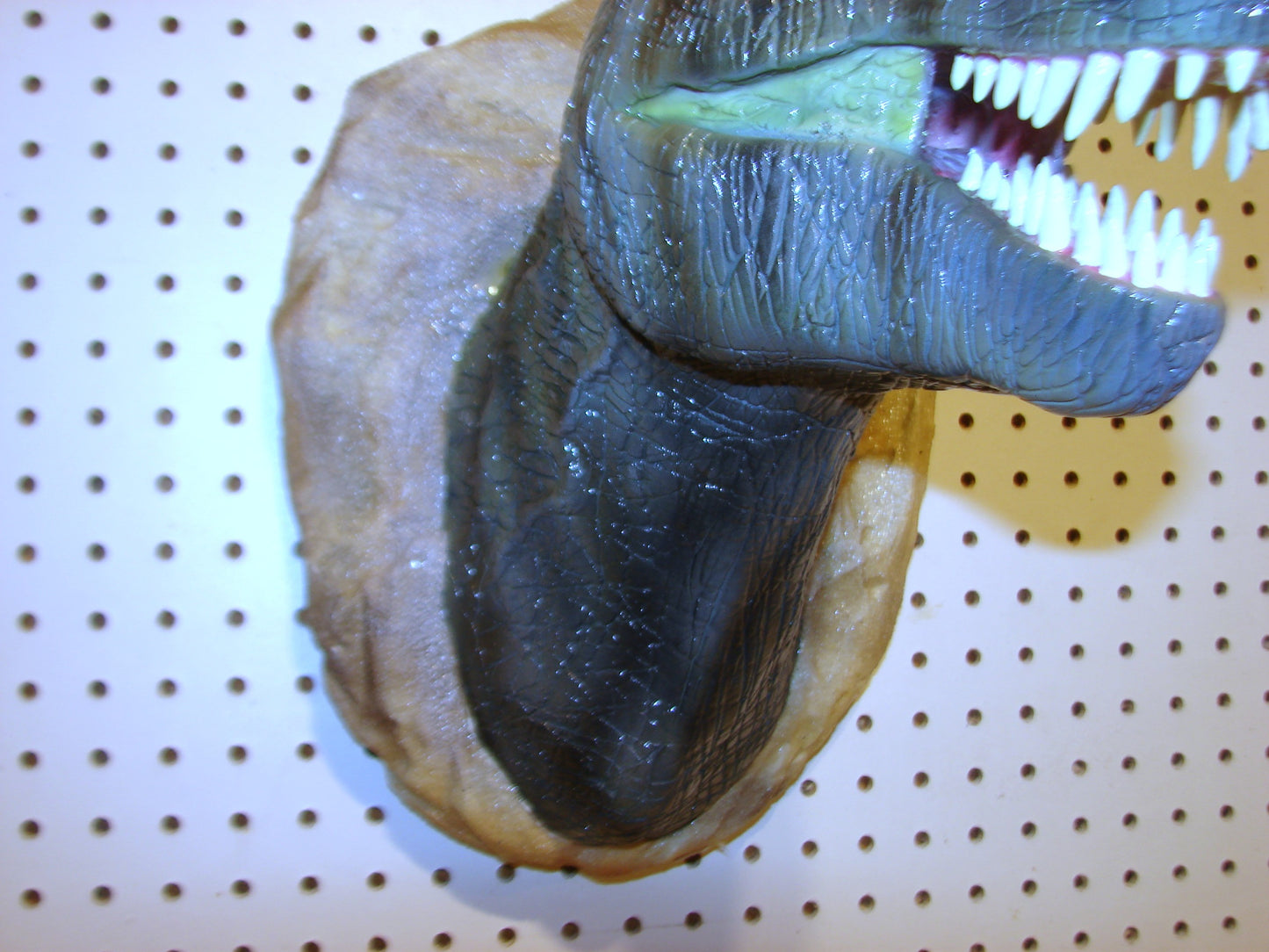 Tyrannosaurus Rex 3d Head Mount FREE SHIPPING
