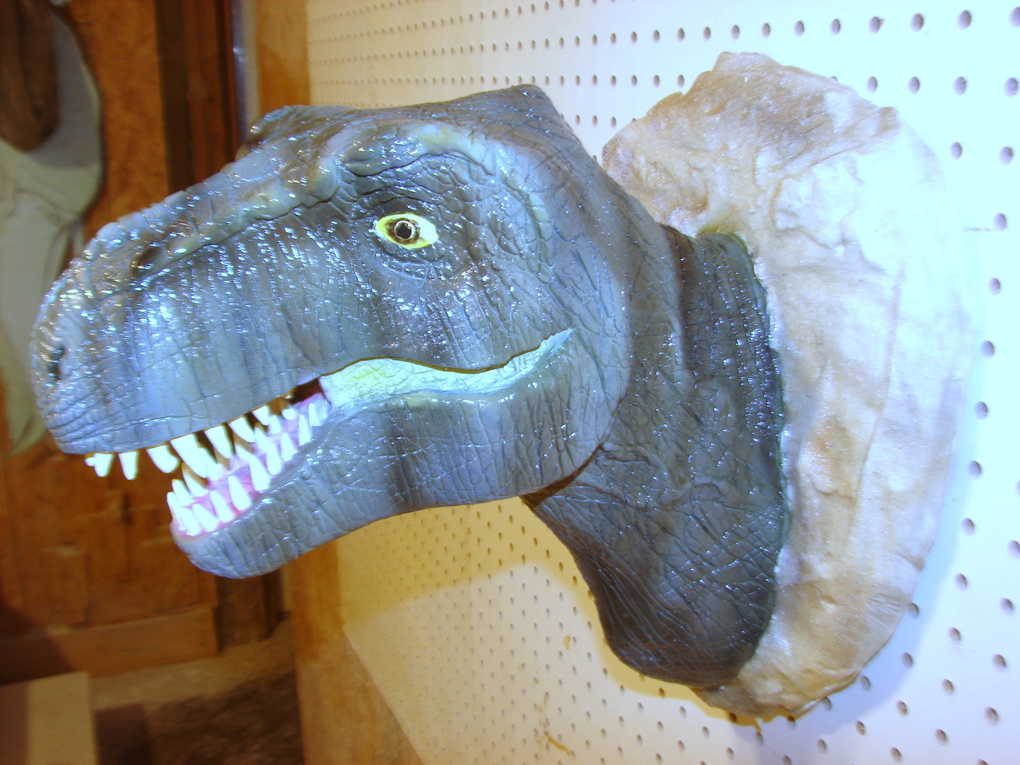 Tyrannosaurus Rex 3d Head Mount FREE SHIPPING