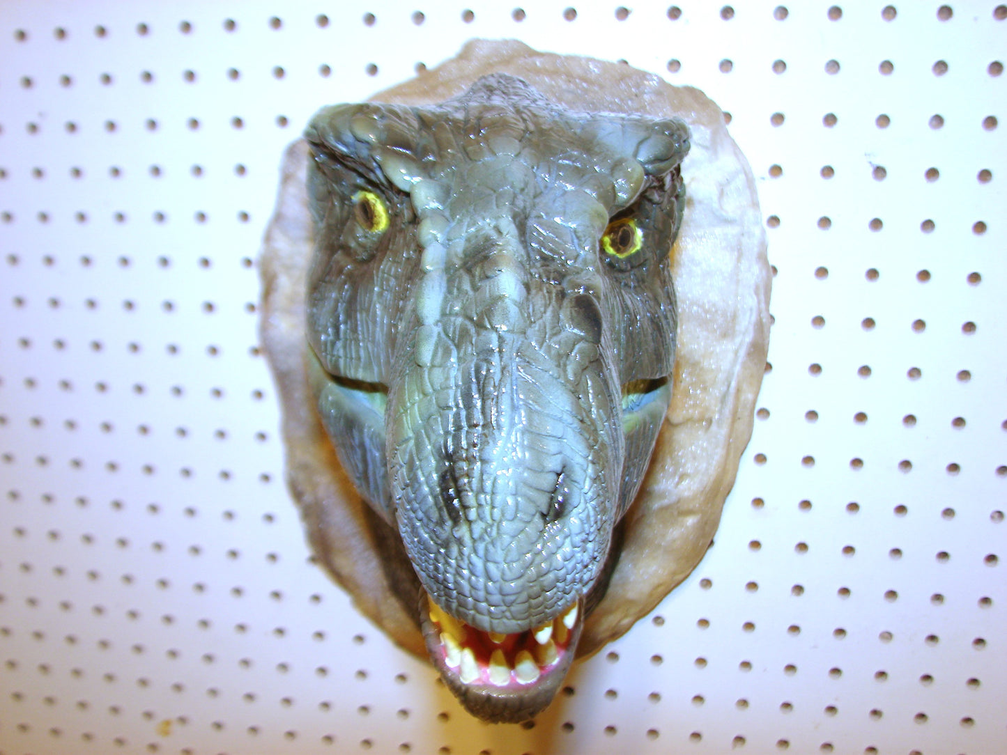 Tyrannosaurus Rex 3d Head Mount FREE SHIPPING