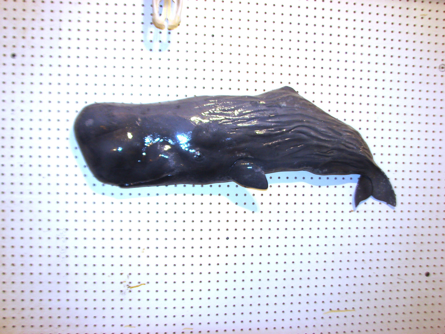 36" Sperm Whale FREE SHIPPING