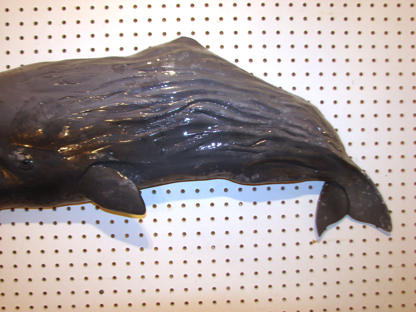 36" Sperm Whale FREE SHIPPING