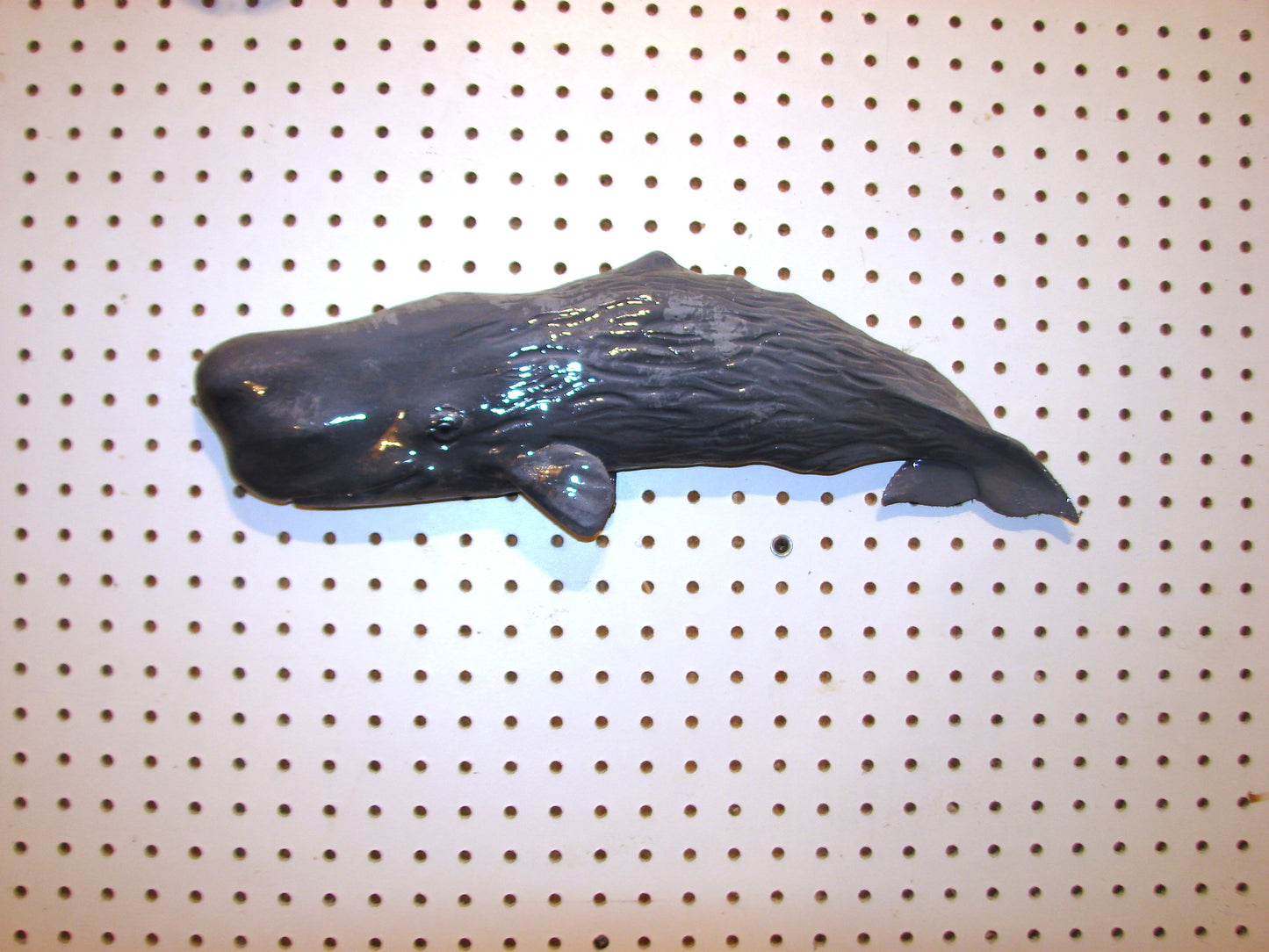 19" Sperm Whale FREE SHIPPING